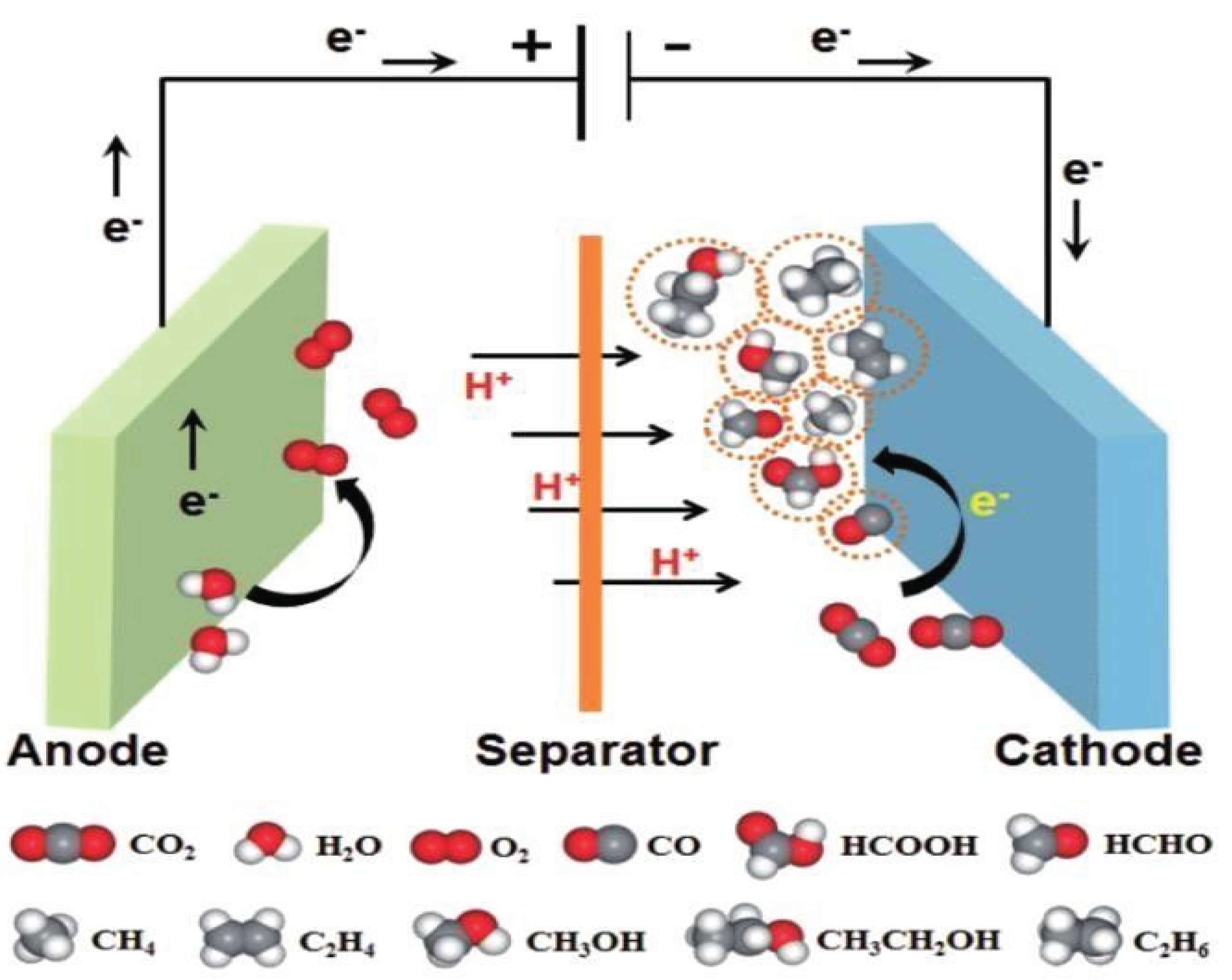 Preprints 166216 g005