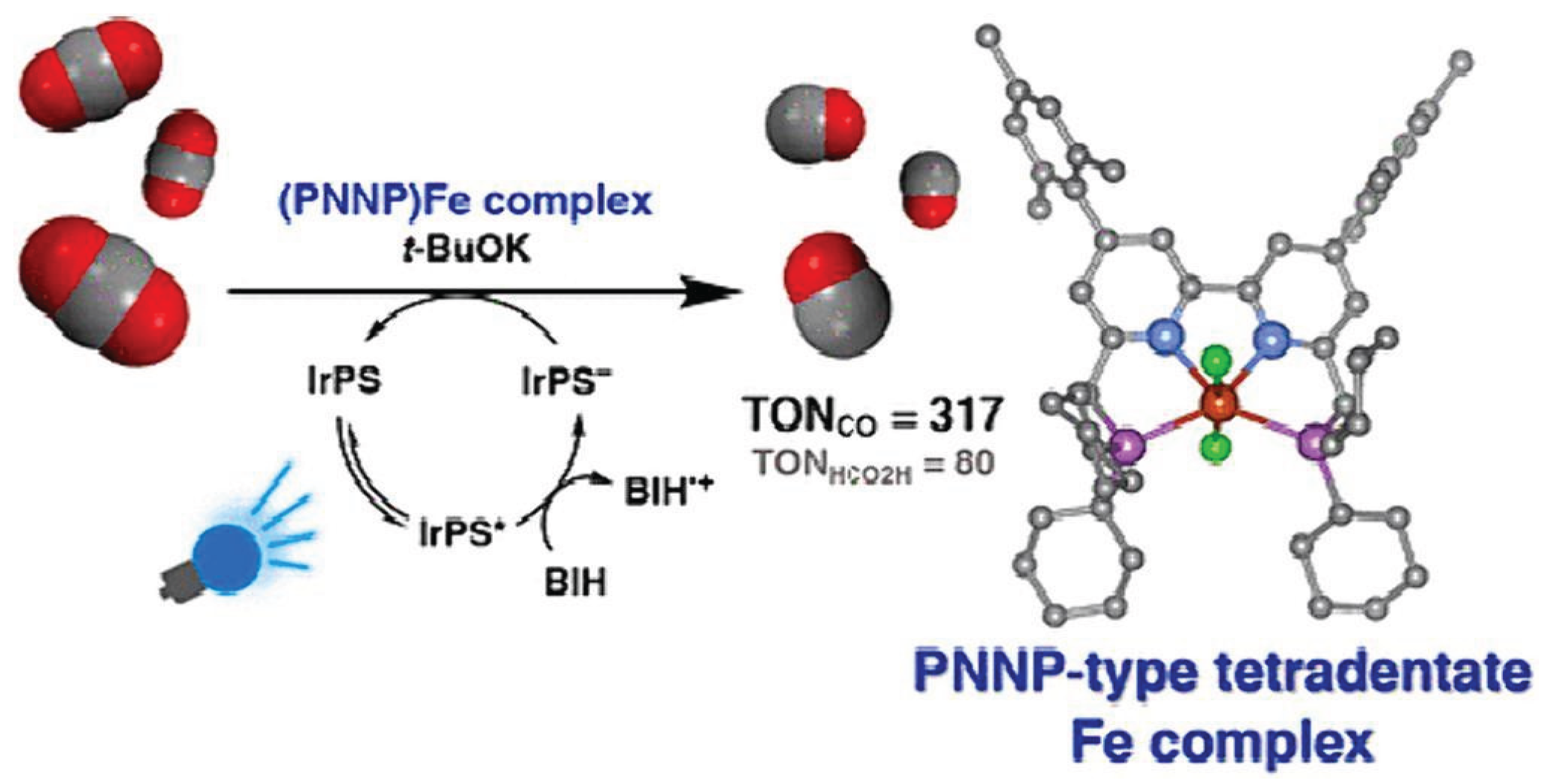 Preprints 166216 g008