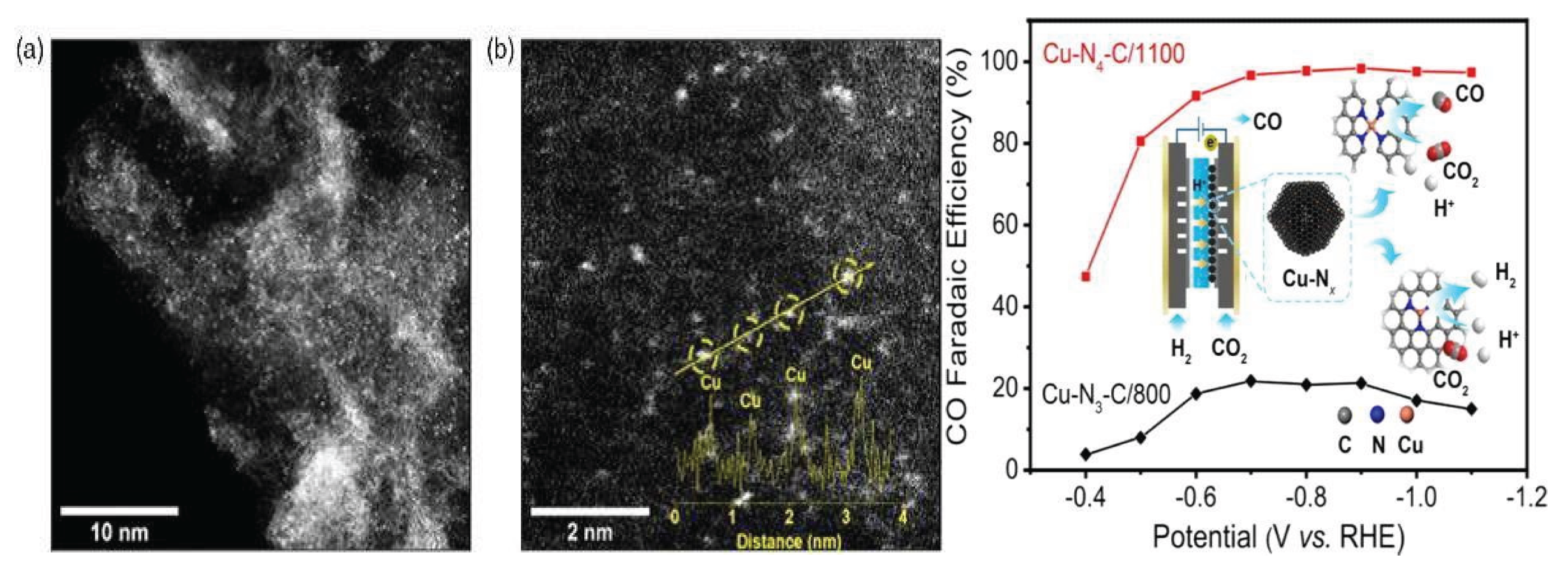 Preprints 166216 g014
