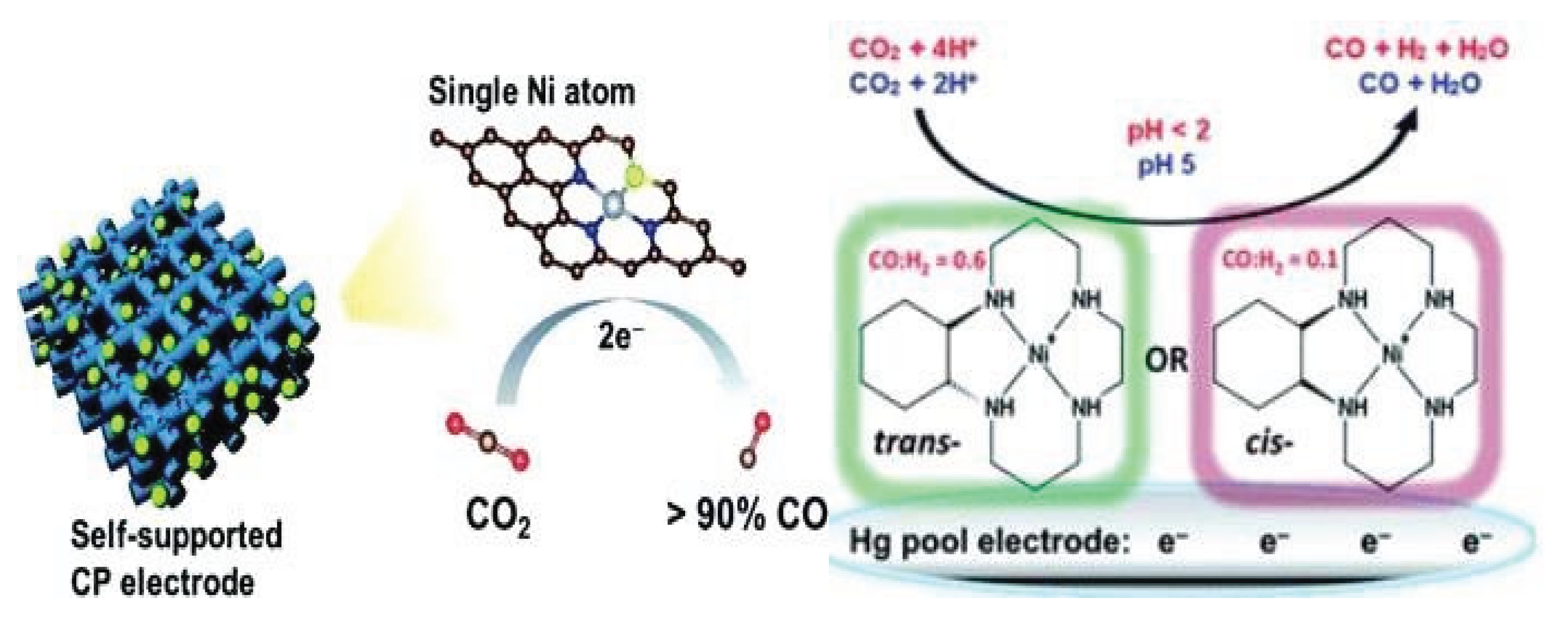 Preprints 166216 g016