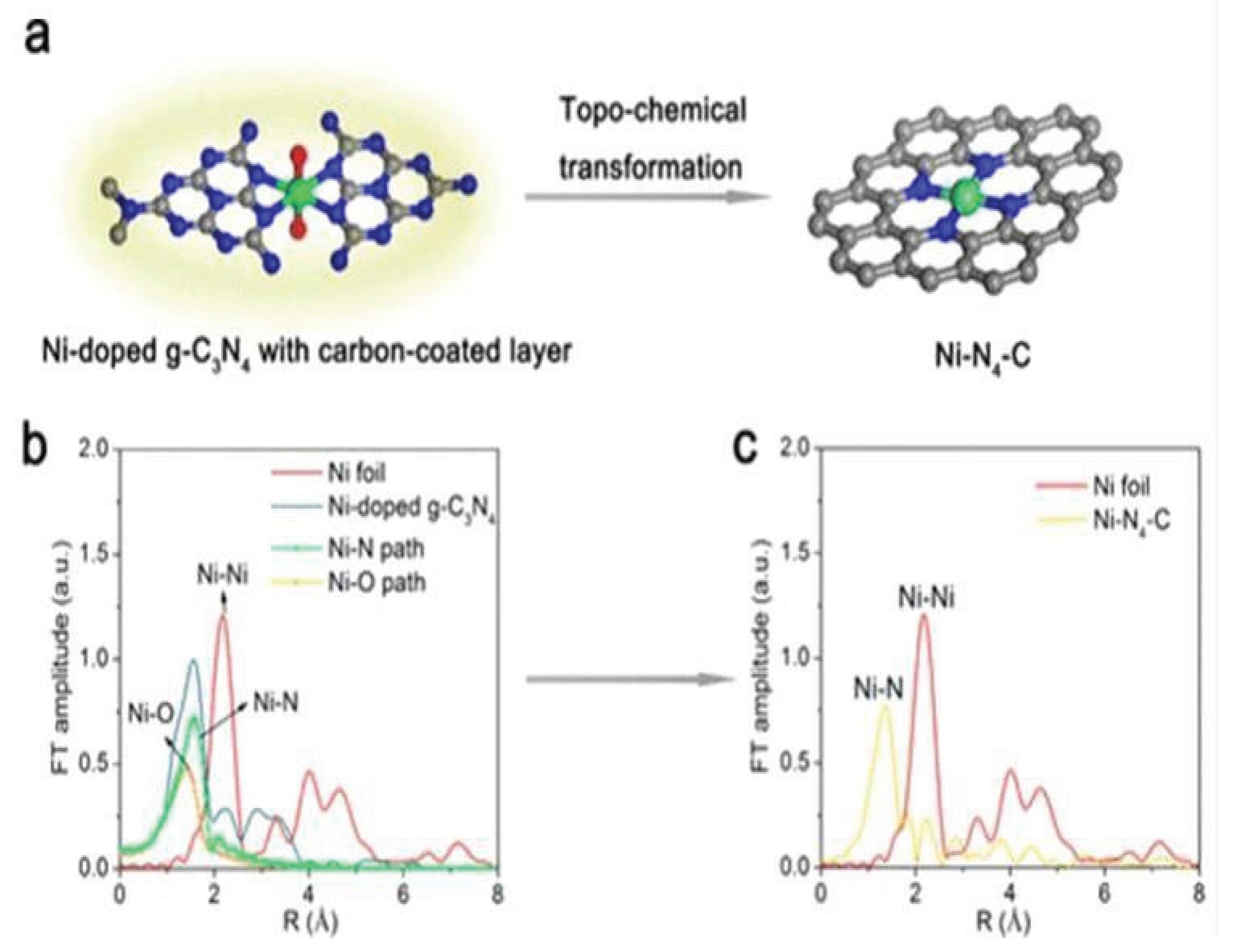 Preprints 166216 g017