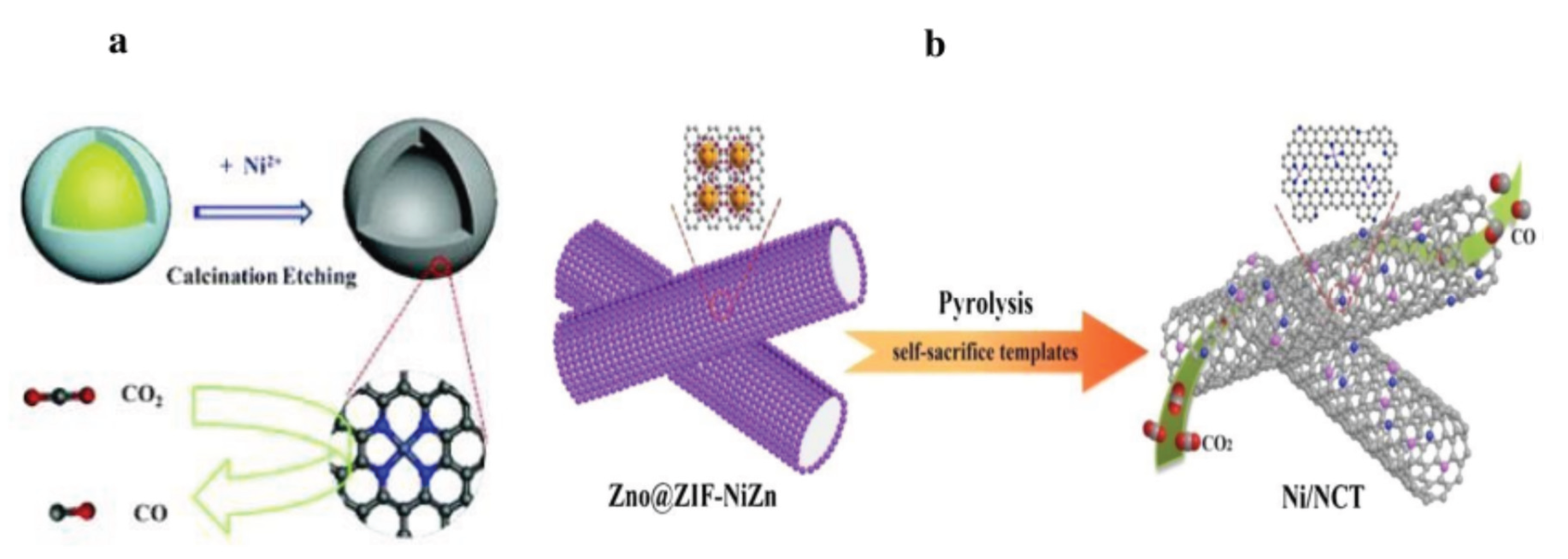 Preprints 166216 g018