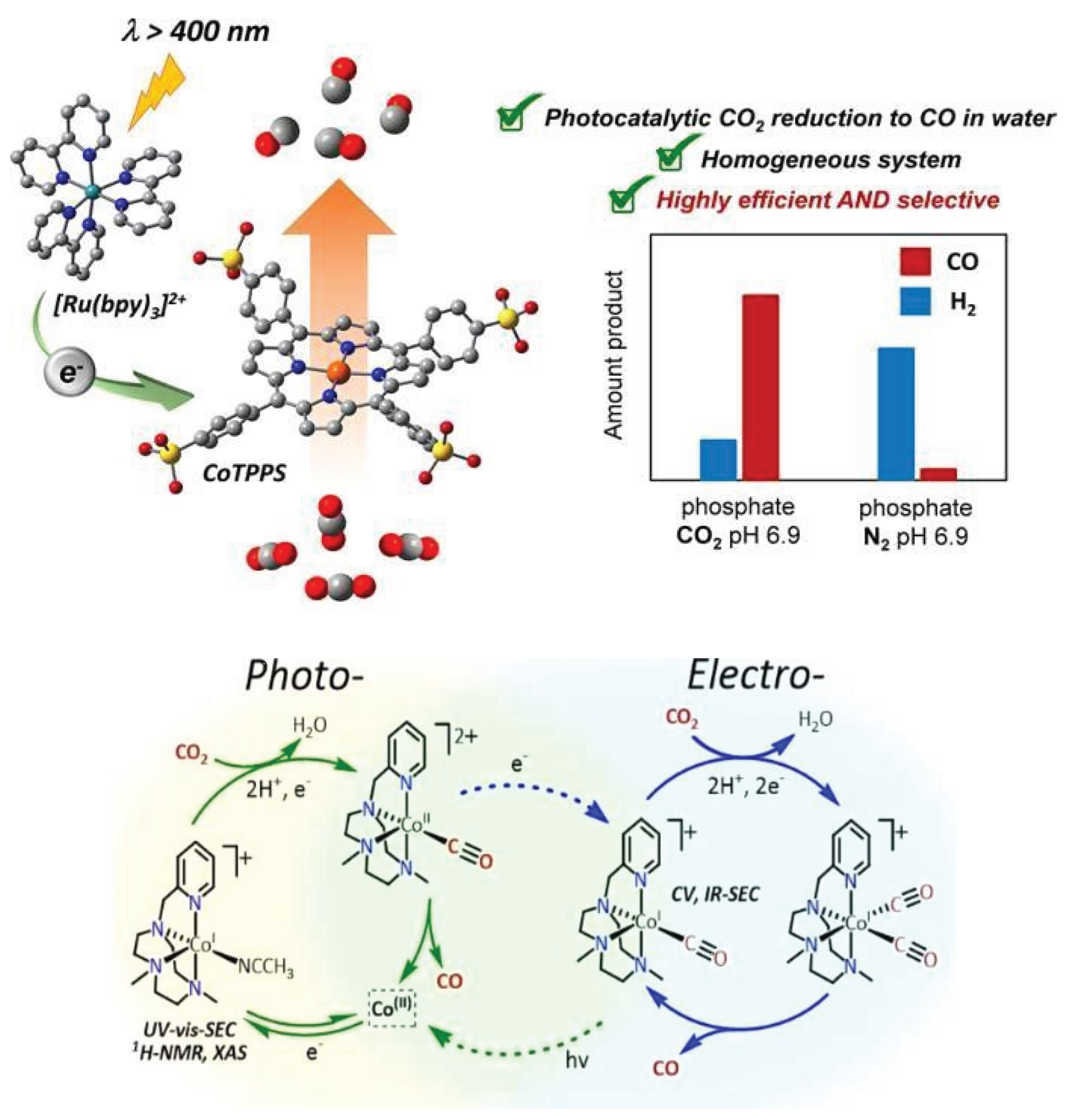 Preprints 166216 g019
