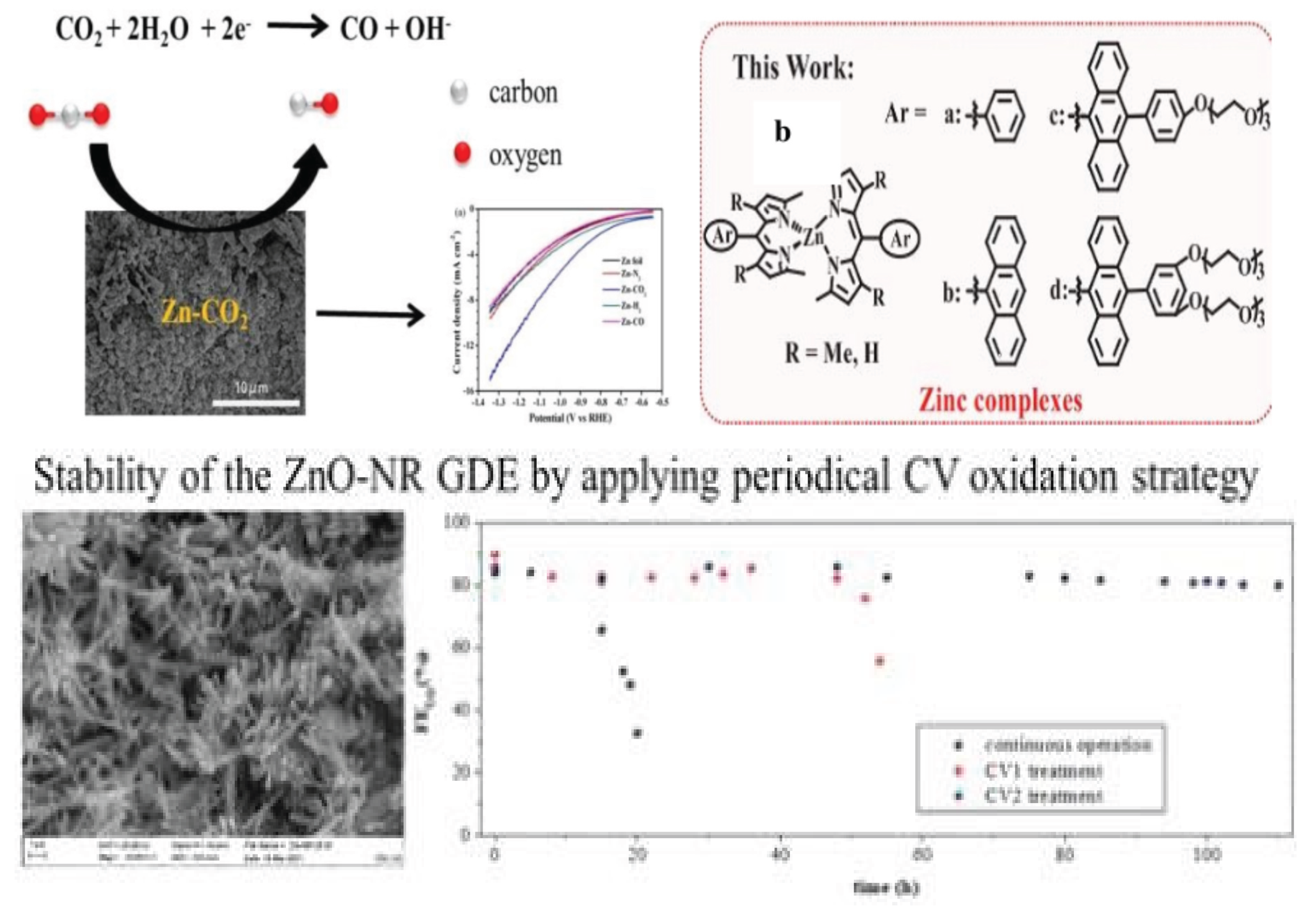 Preprints 166216 g021