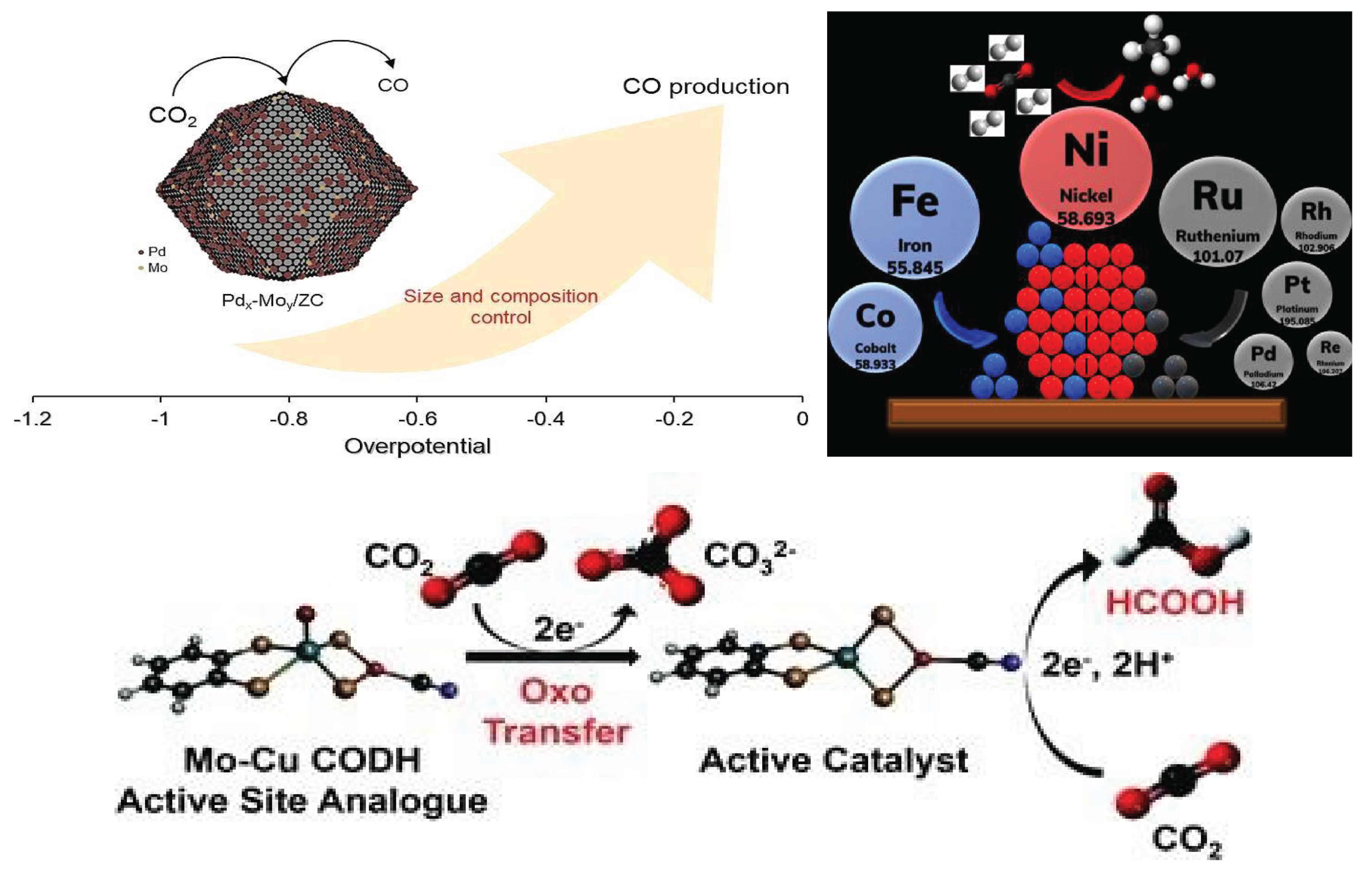 Preprints 166216 g024