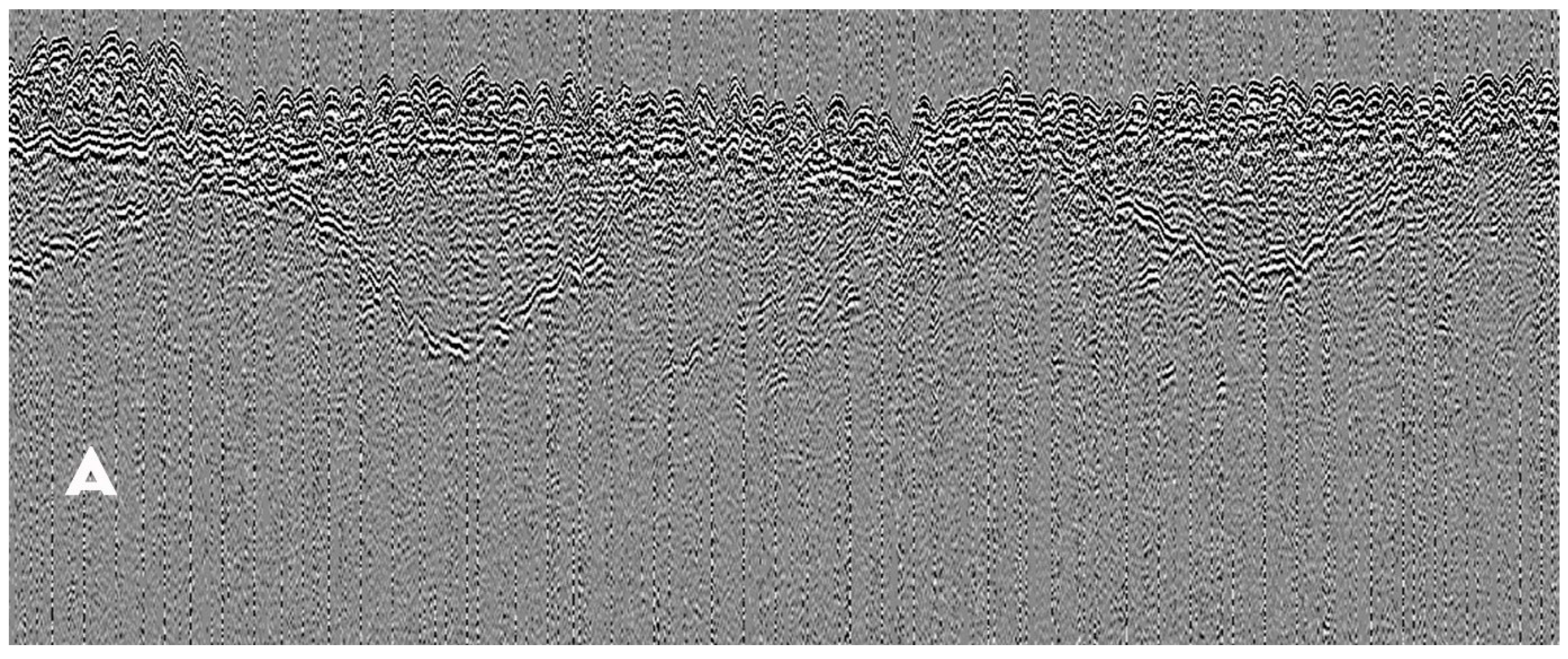 Preprints 100139 g0041