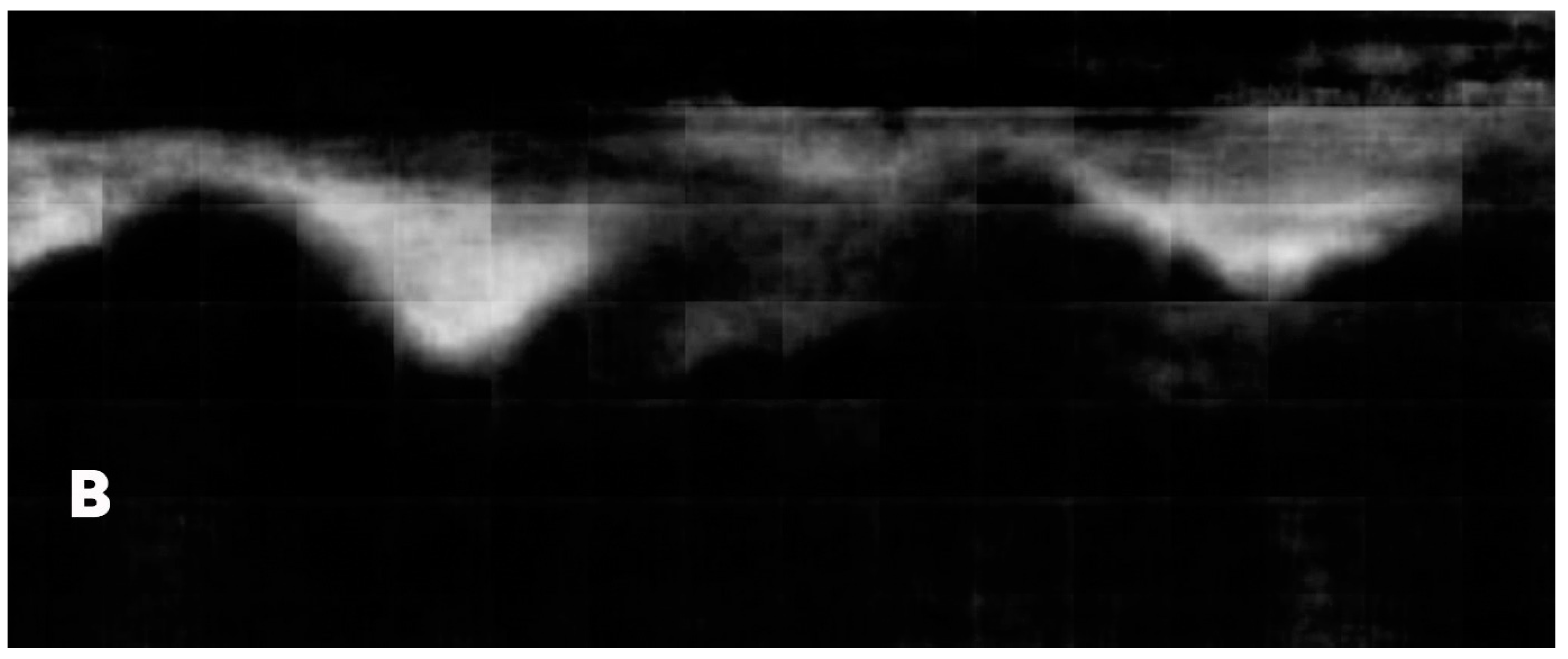 Preprints 100139 g0042