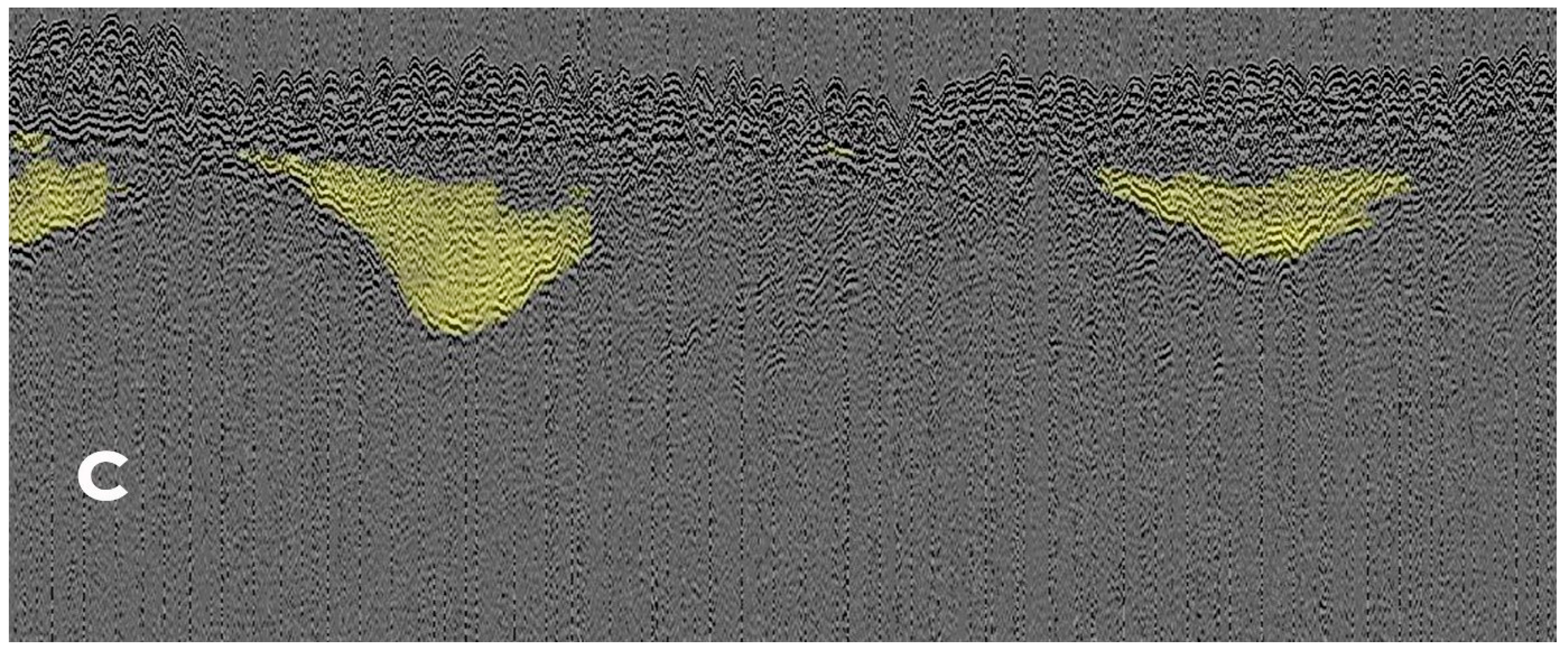 Preprints 100139 g0043