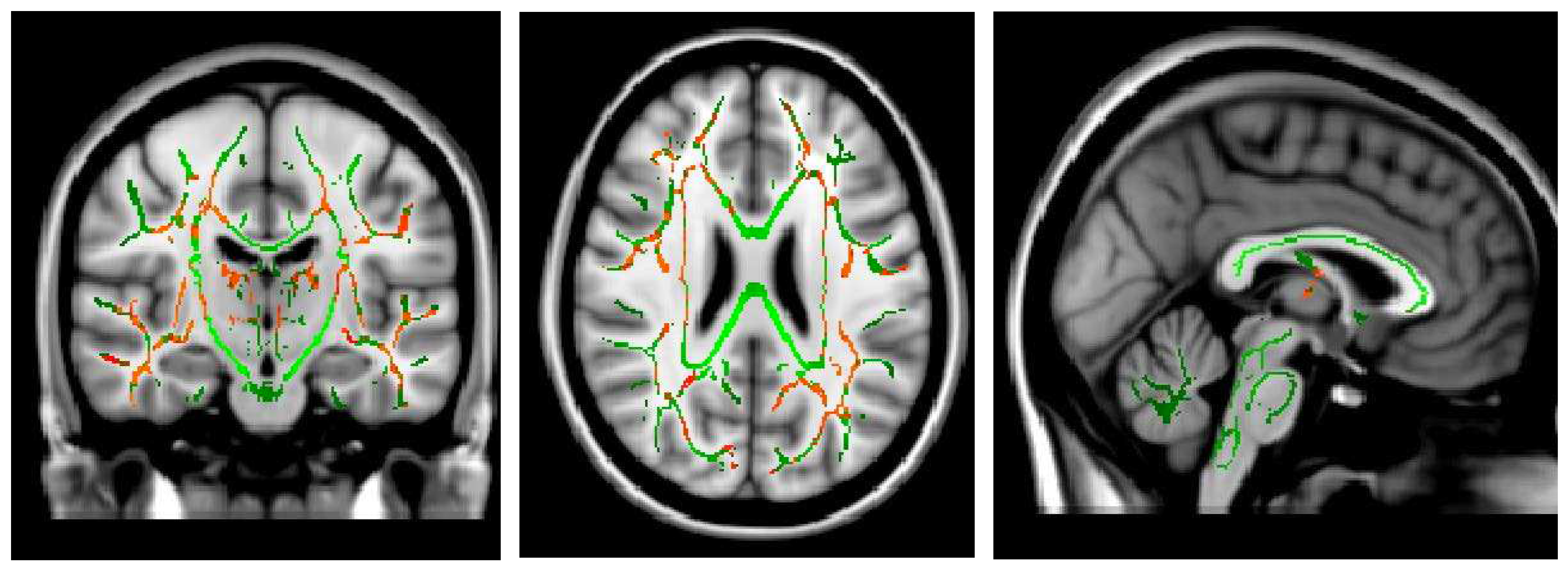 Preprints 94535 g002