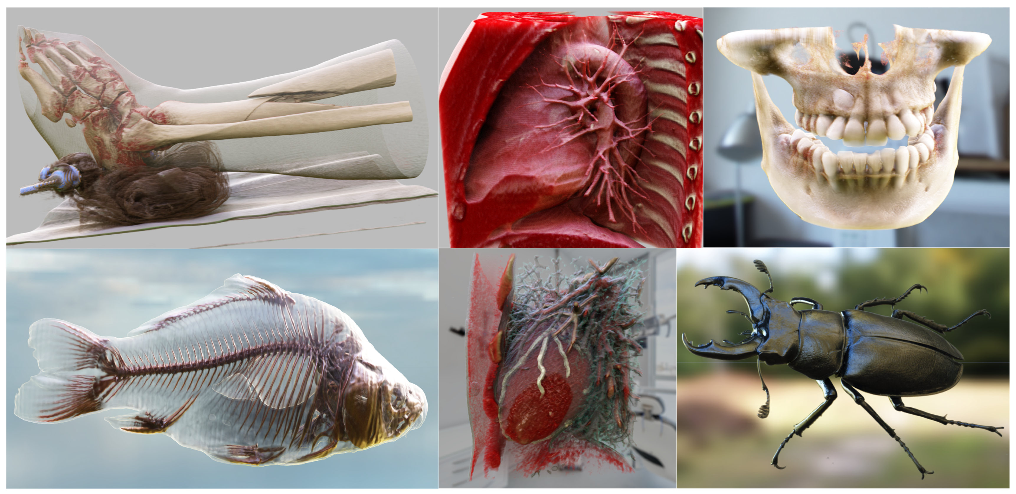 Preprints 159252 g001