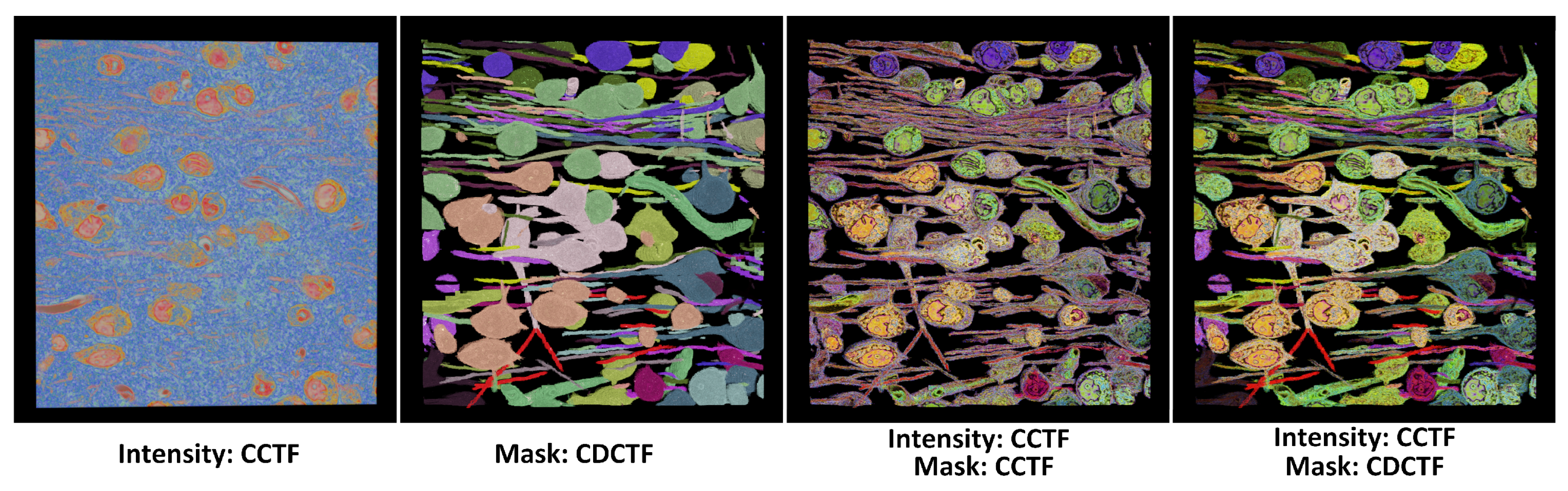 Preprints 159252 g006