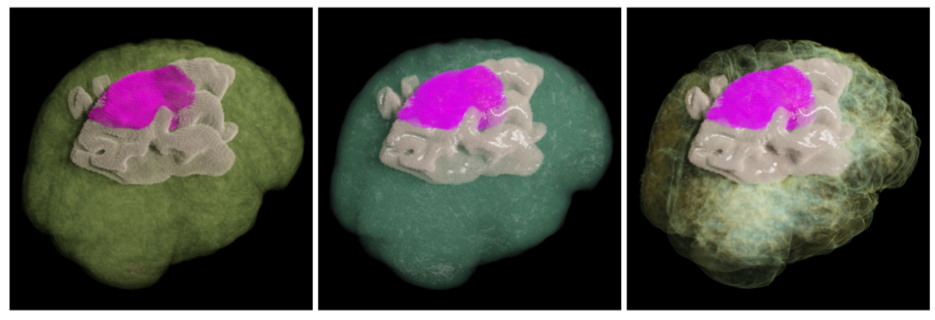 Preprints 159252 g007