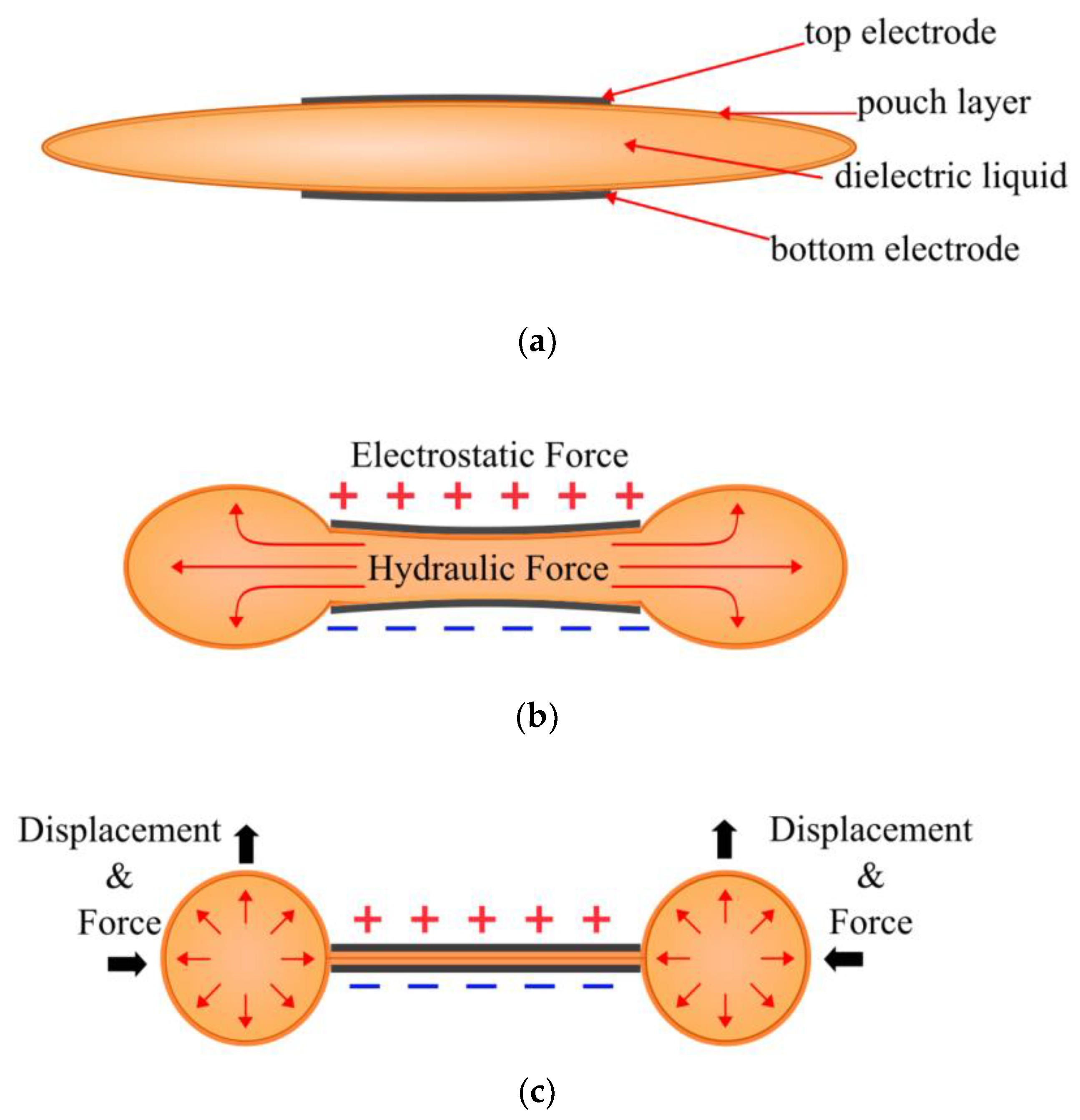 Preprints 147946 g001