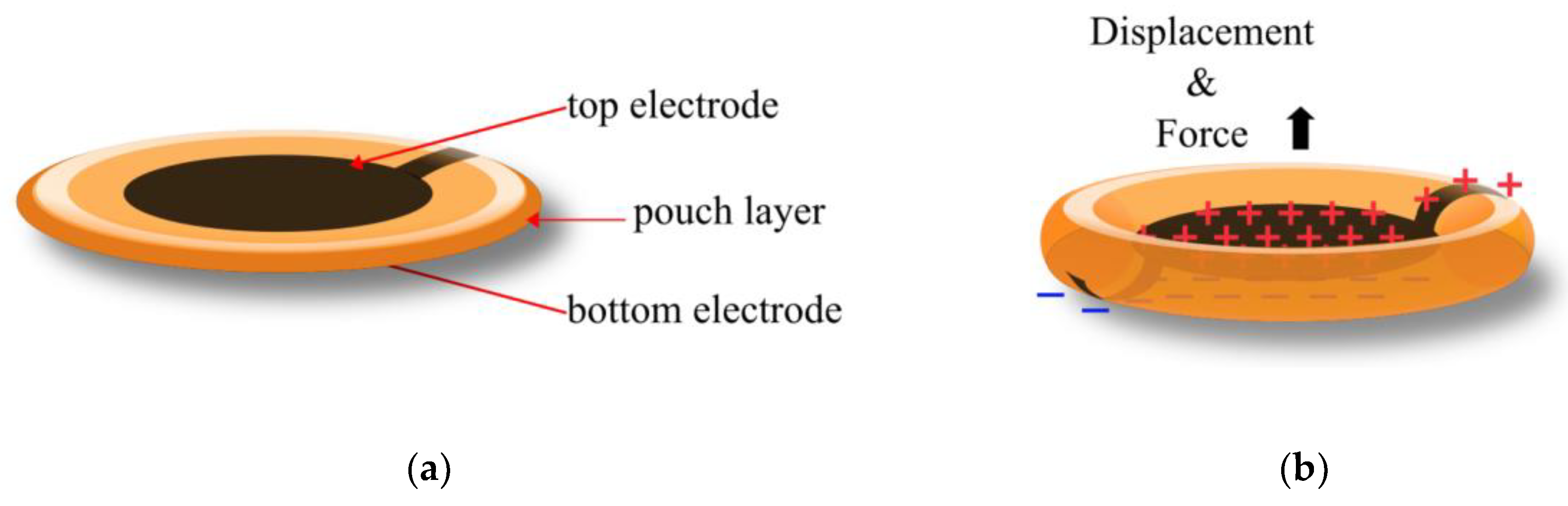 Preprints 147946 g002