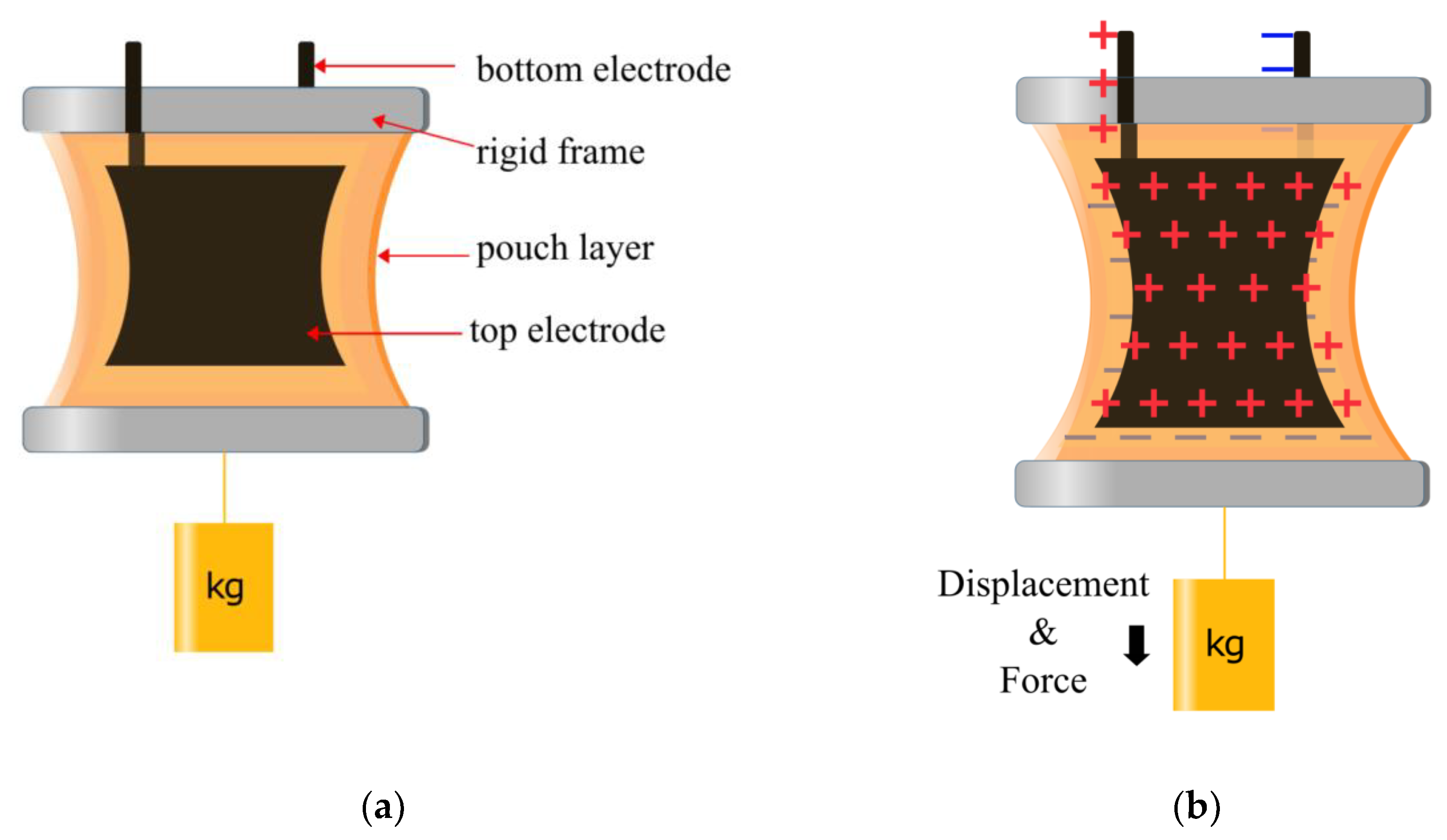 Preprints 147946 g003