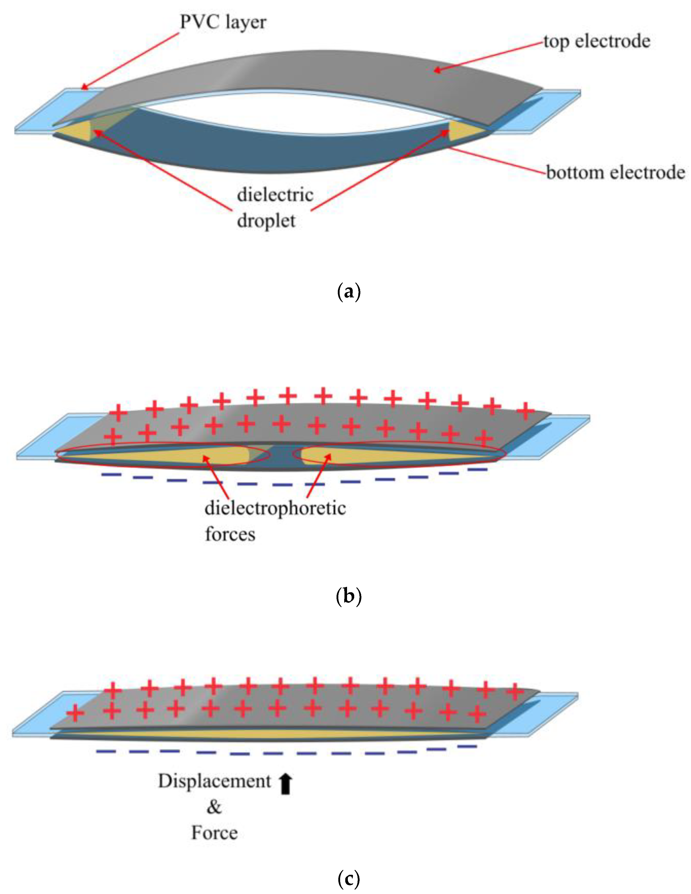 Preprints 147946 g011