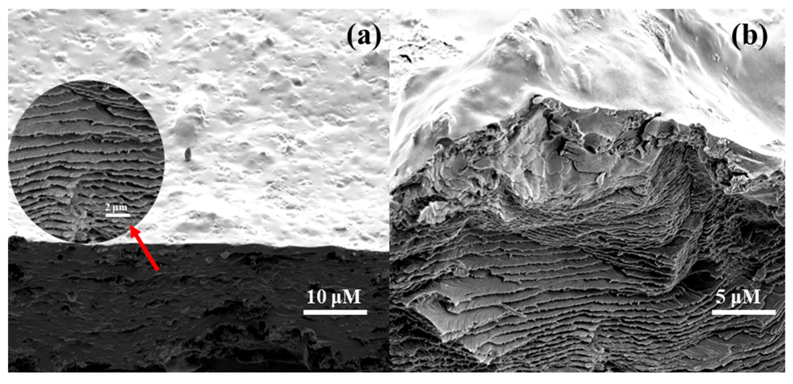 Preprints 67803 g010