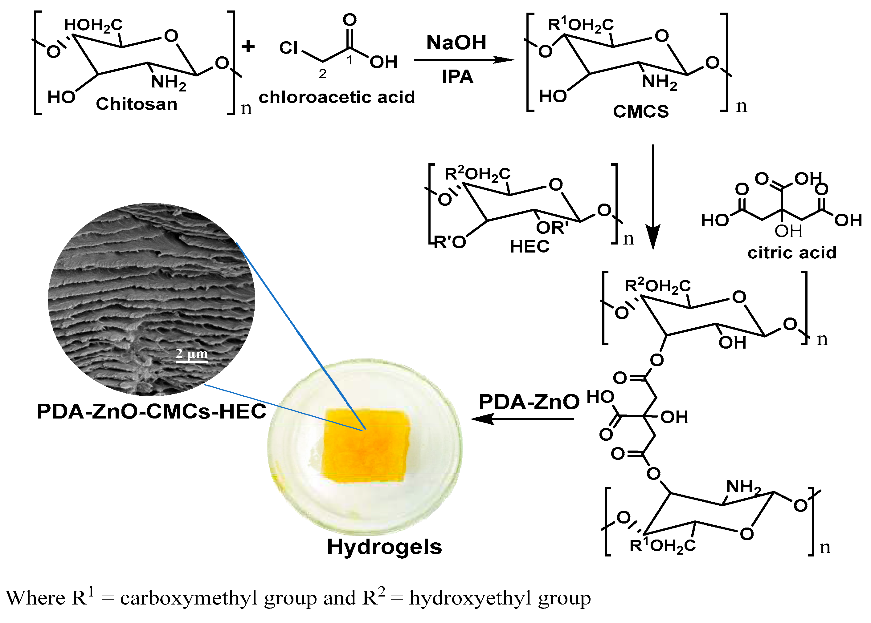 Preprints 67803 sch001