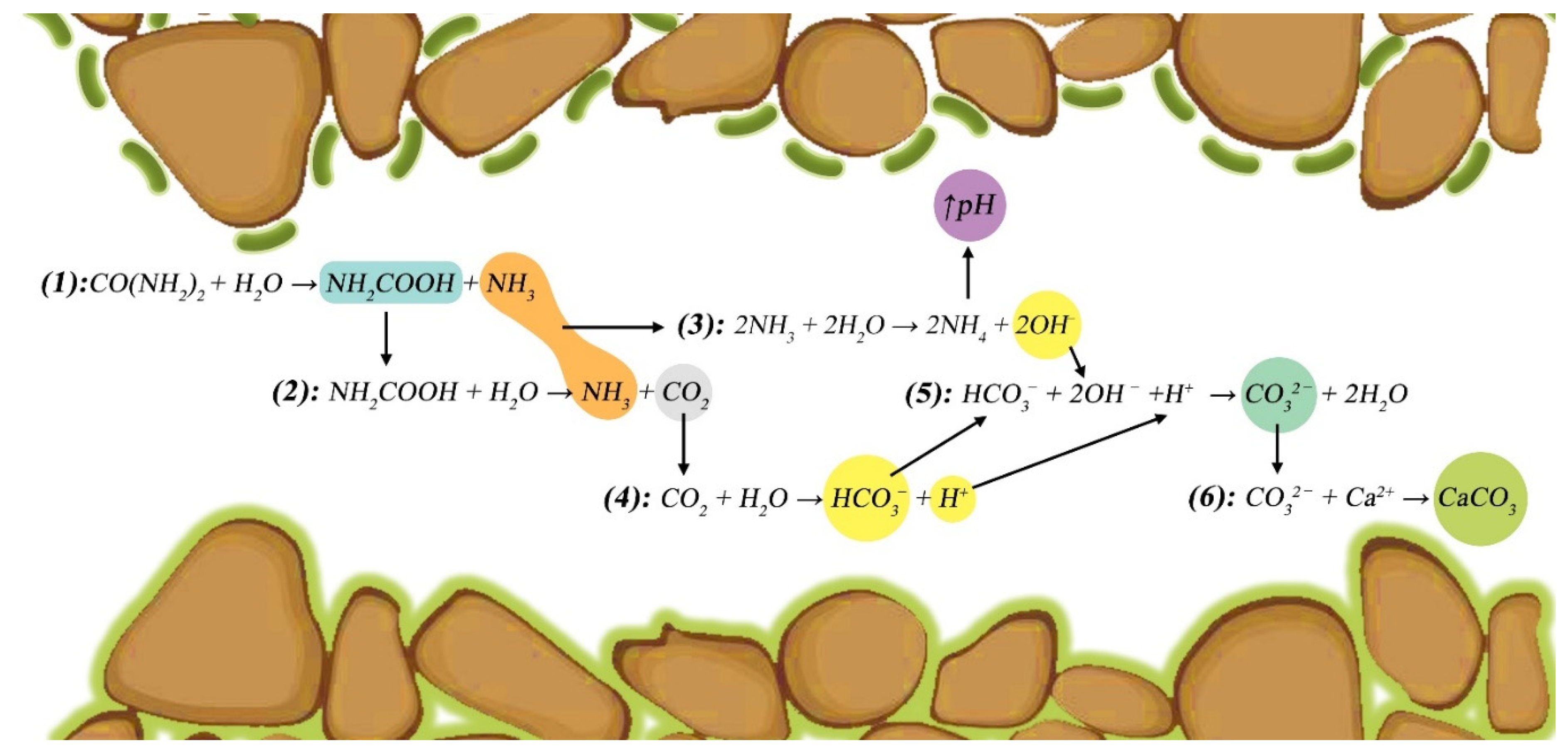 Preprints 84572 g003