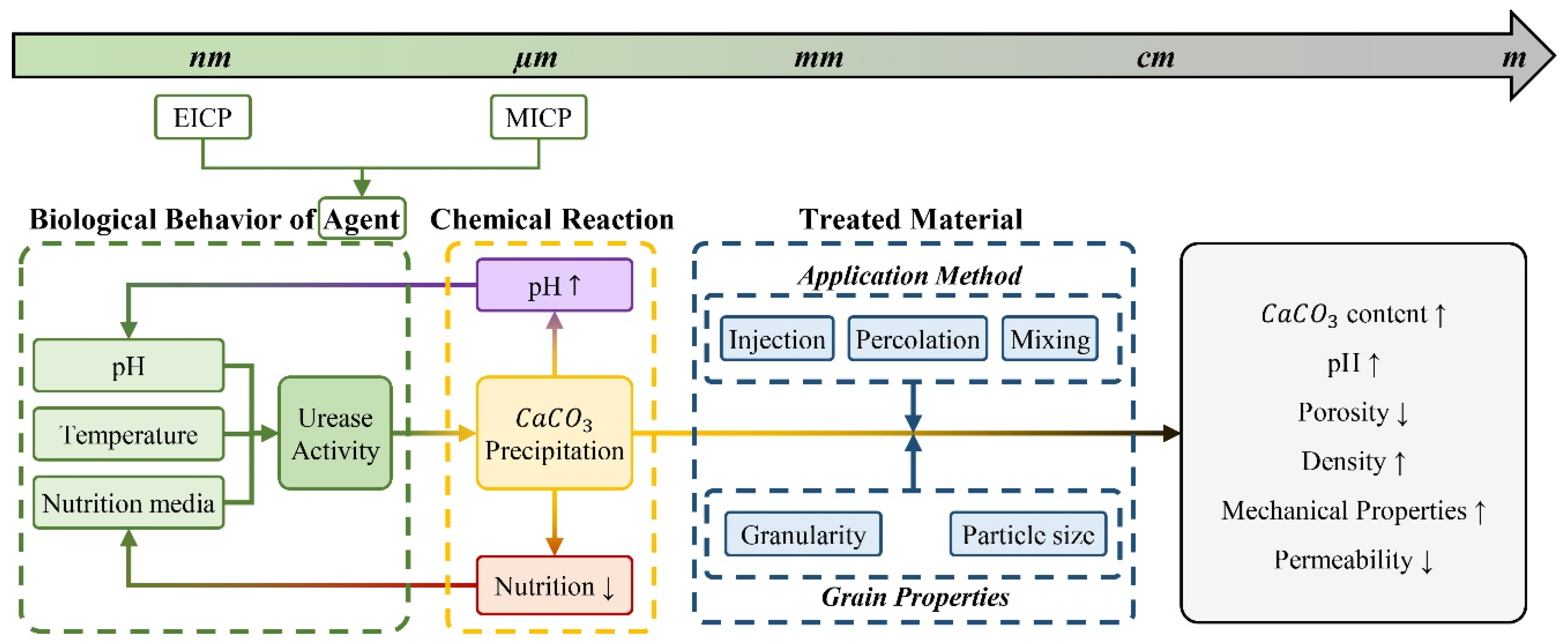 Preprints 84572 g005