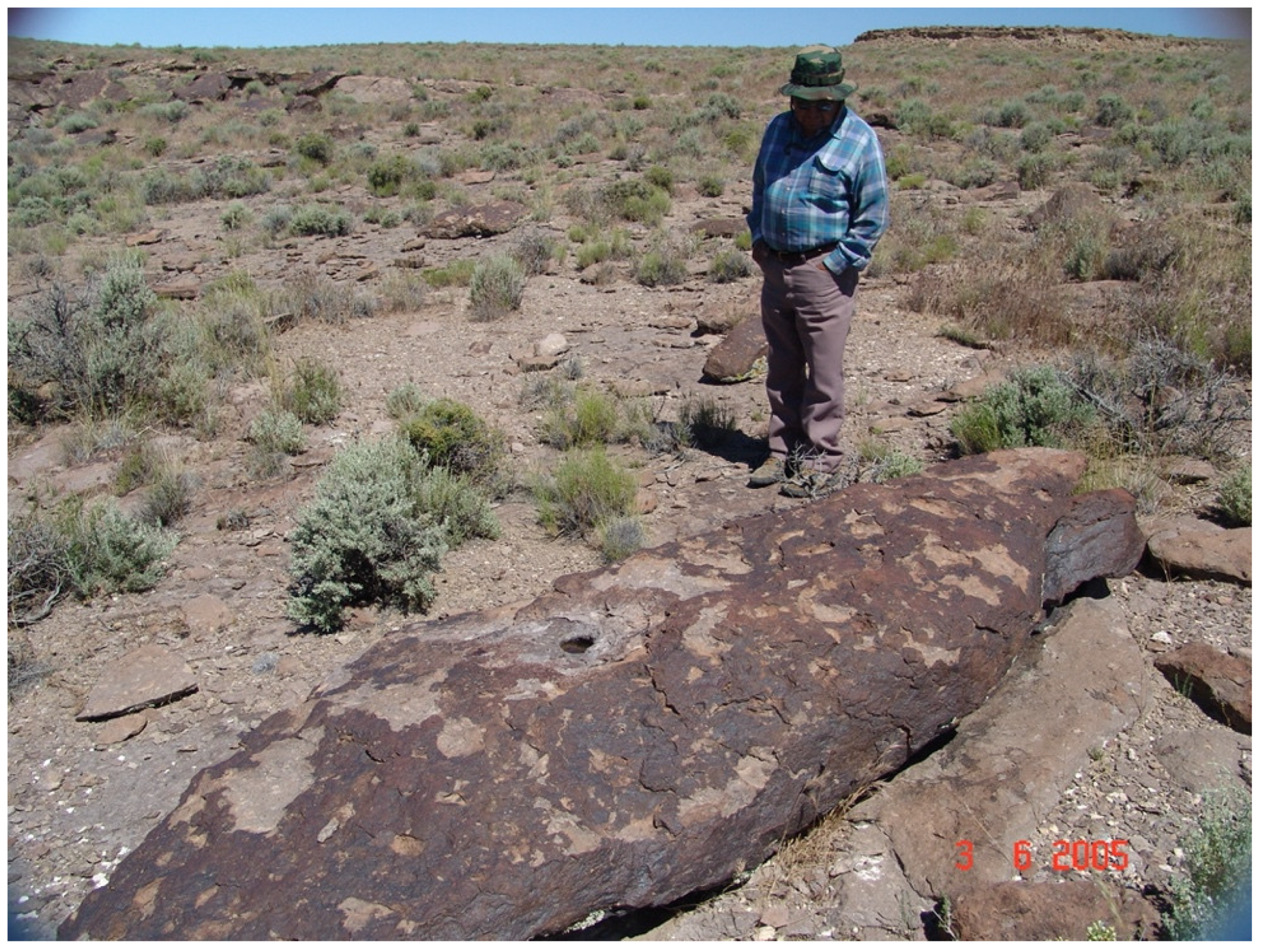 Preprints 117645 g017