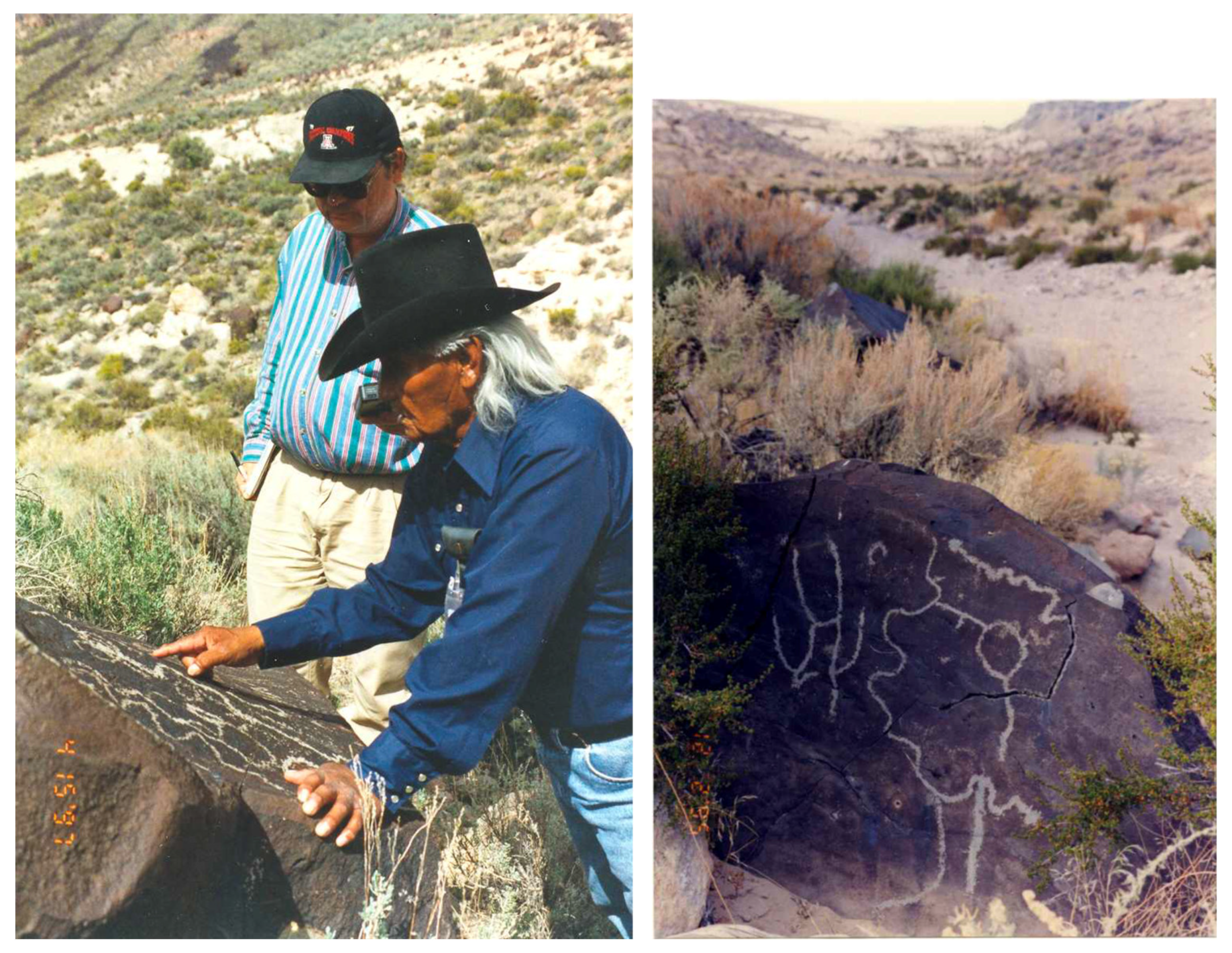 Preprints 117645 g021b