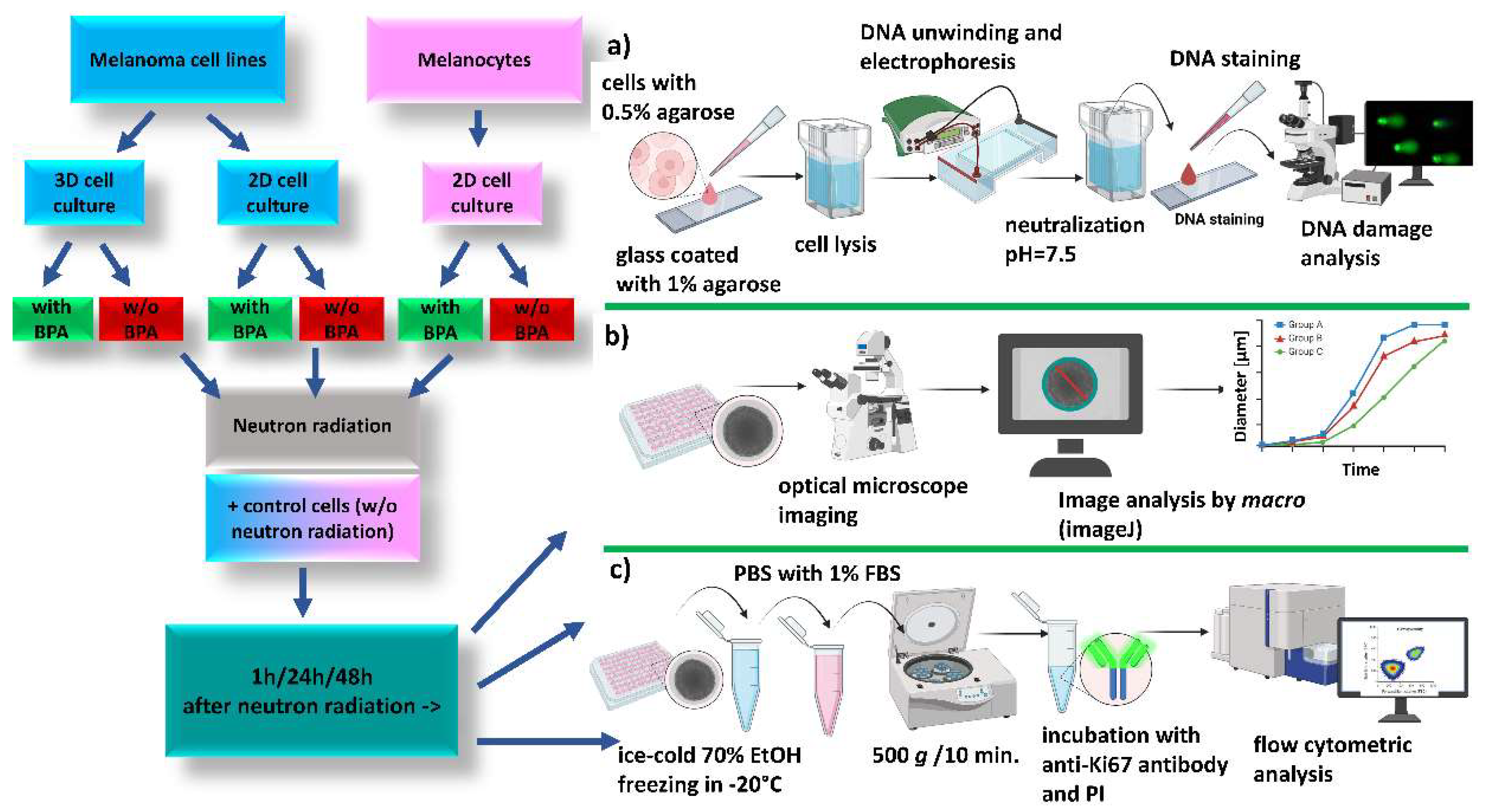 Preprints 144809 g002