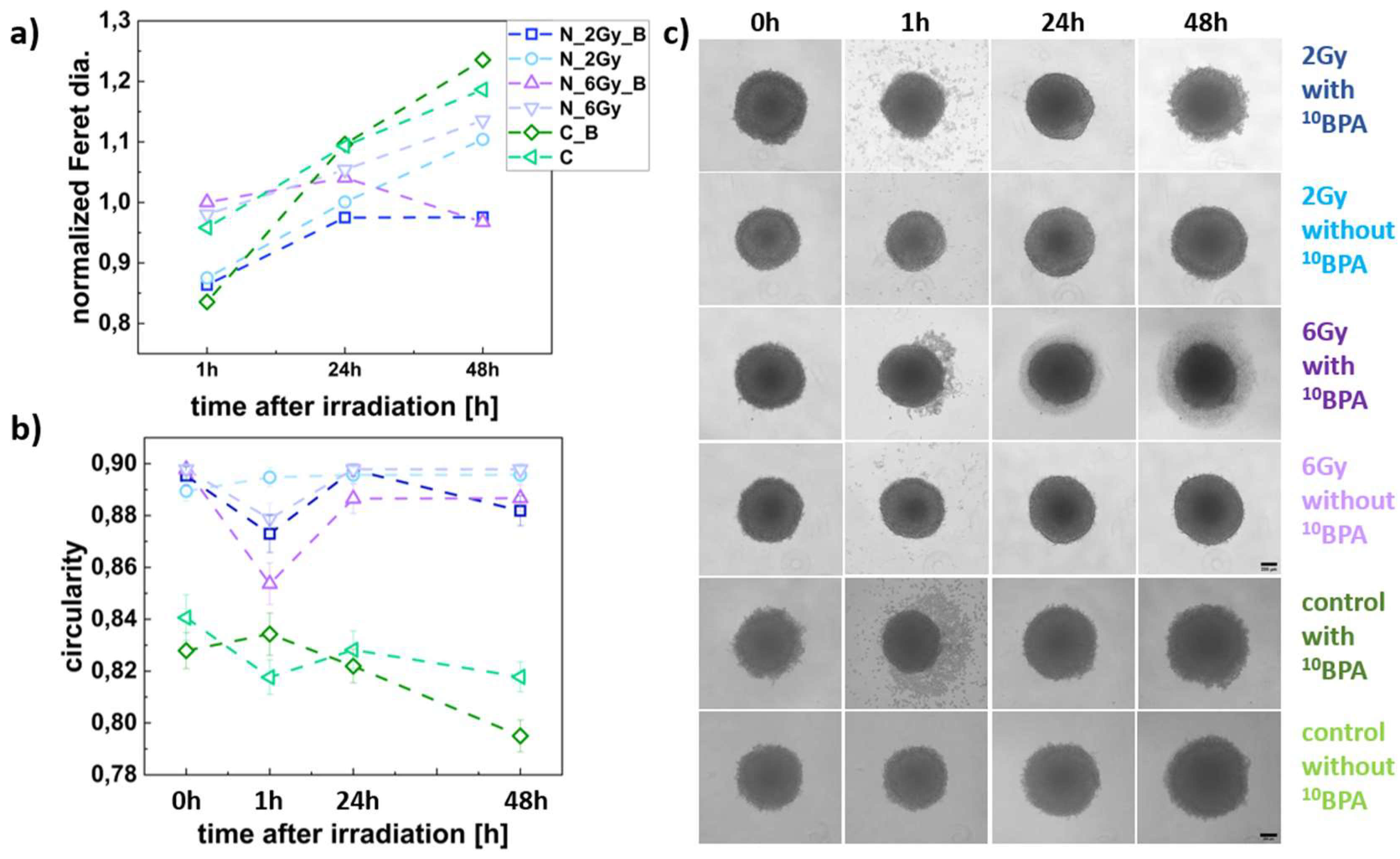 Preprints 144809 g005