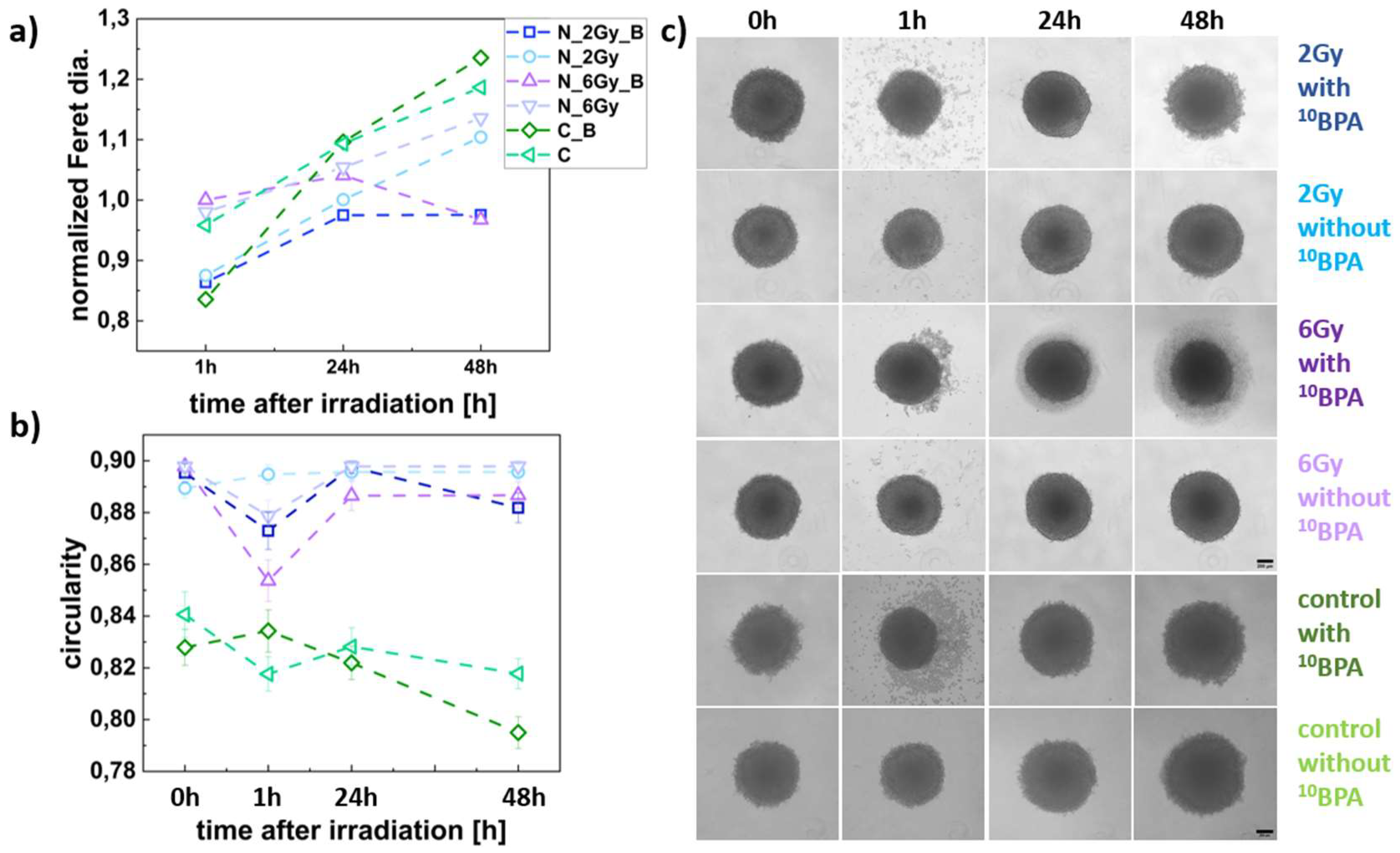 Preprints 144809 g006