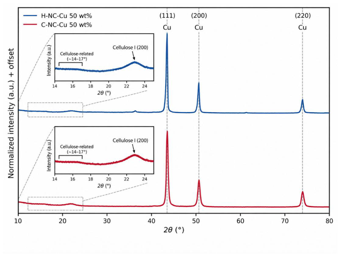 Preprints 236283 g015