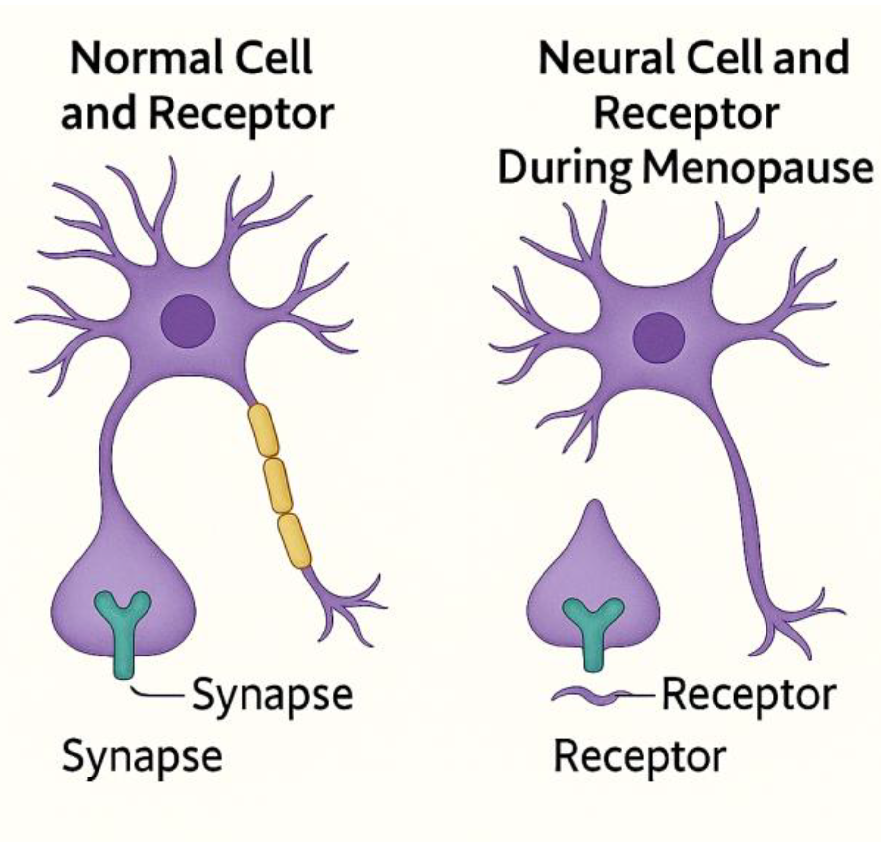 Preprints 182705 g001
