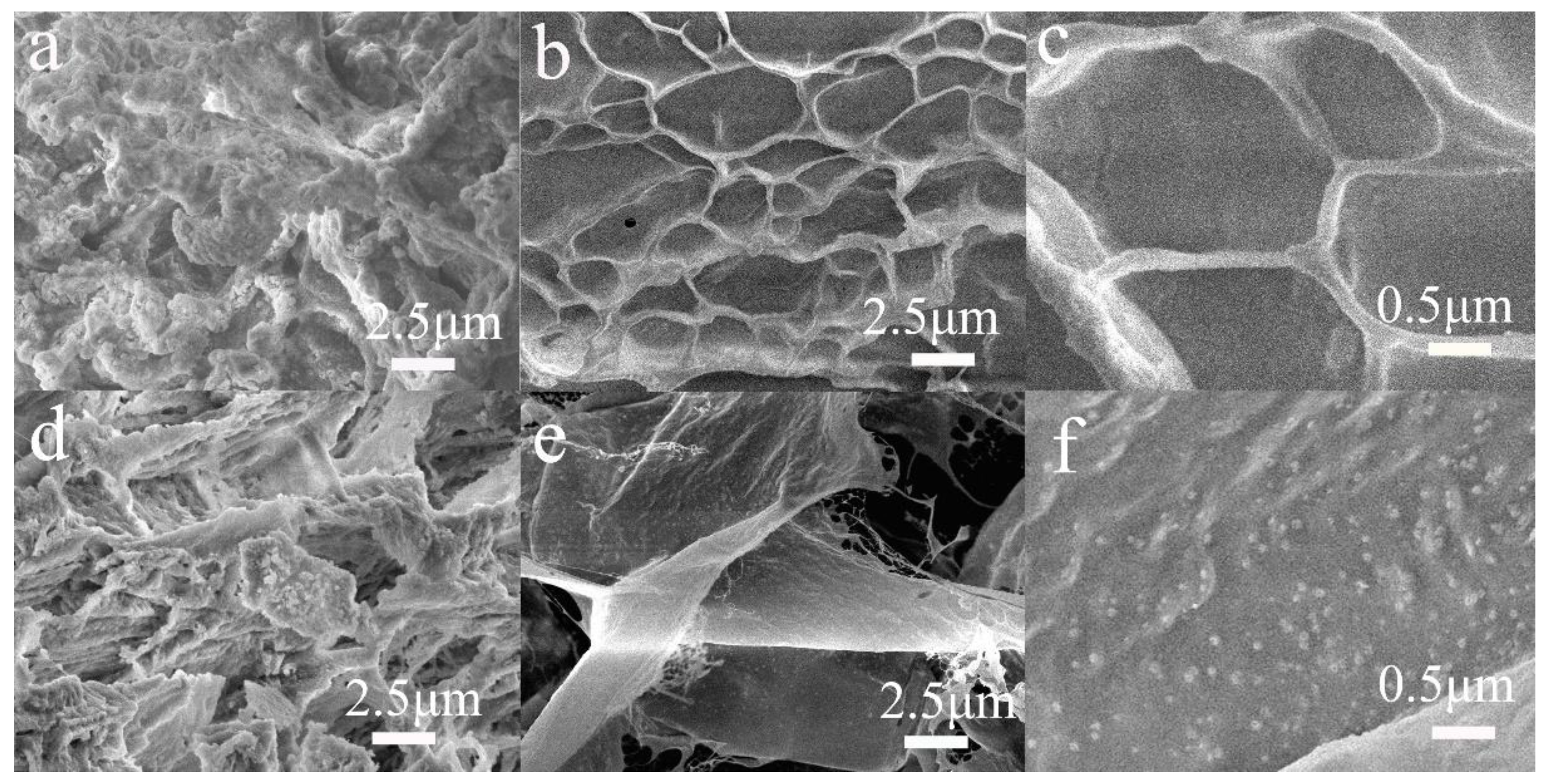 Preprints 149931 g002
