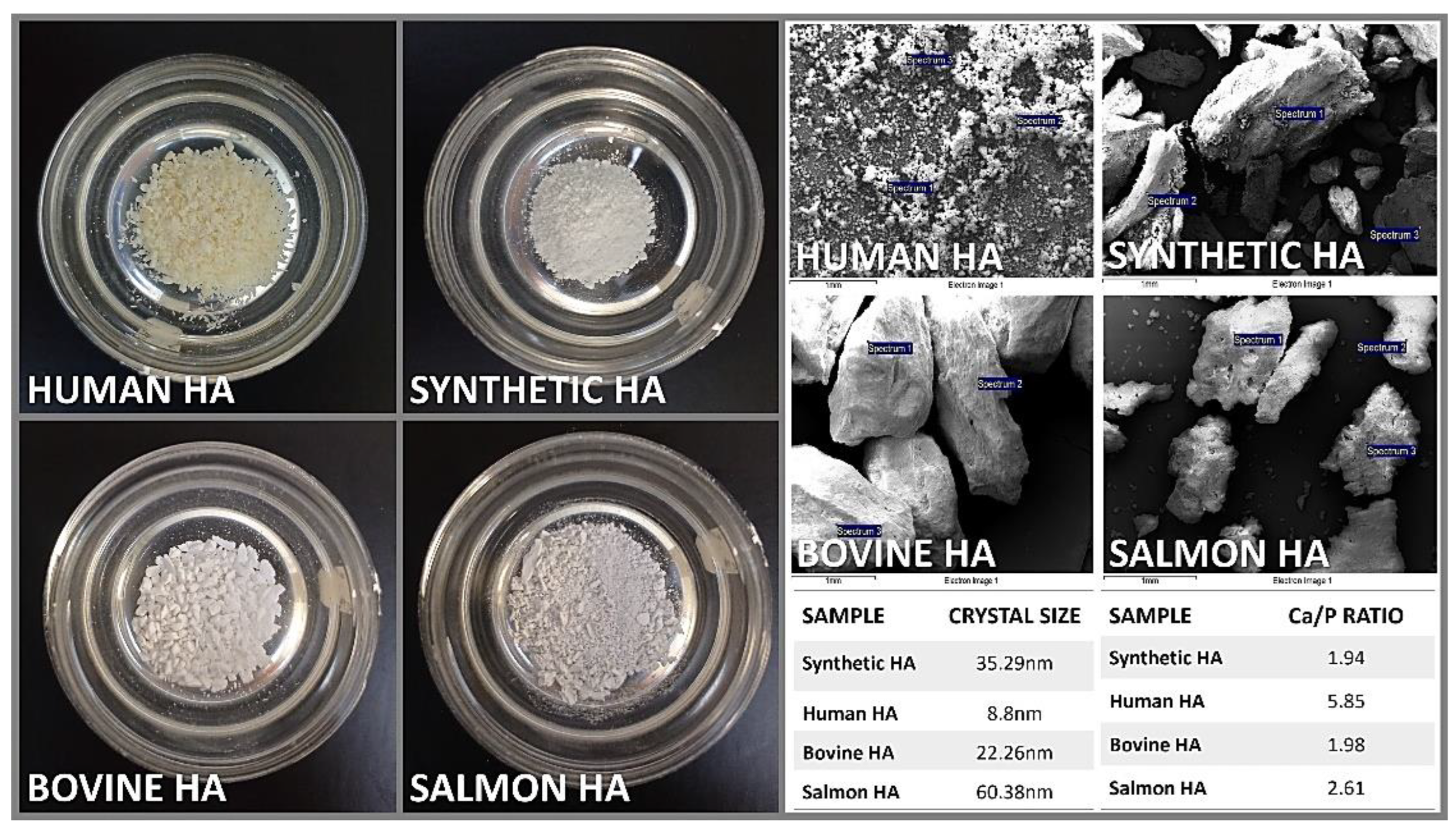 Preprints 90670 g002