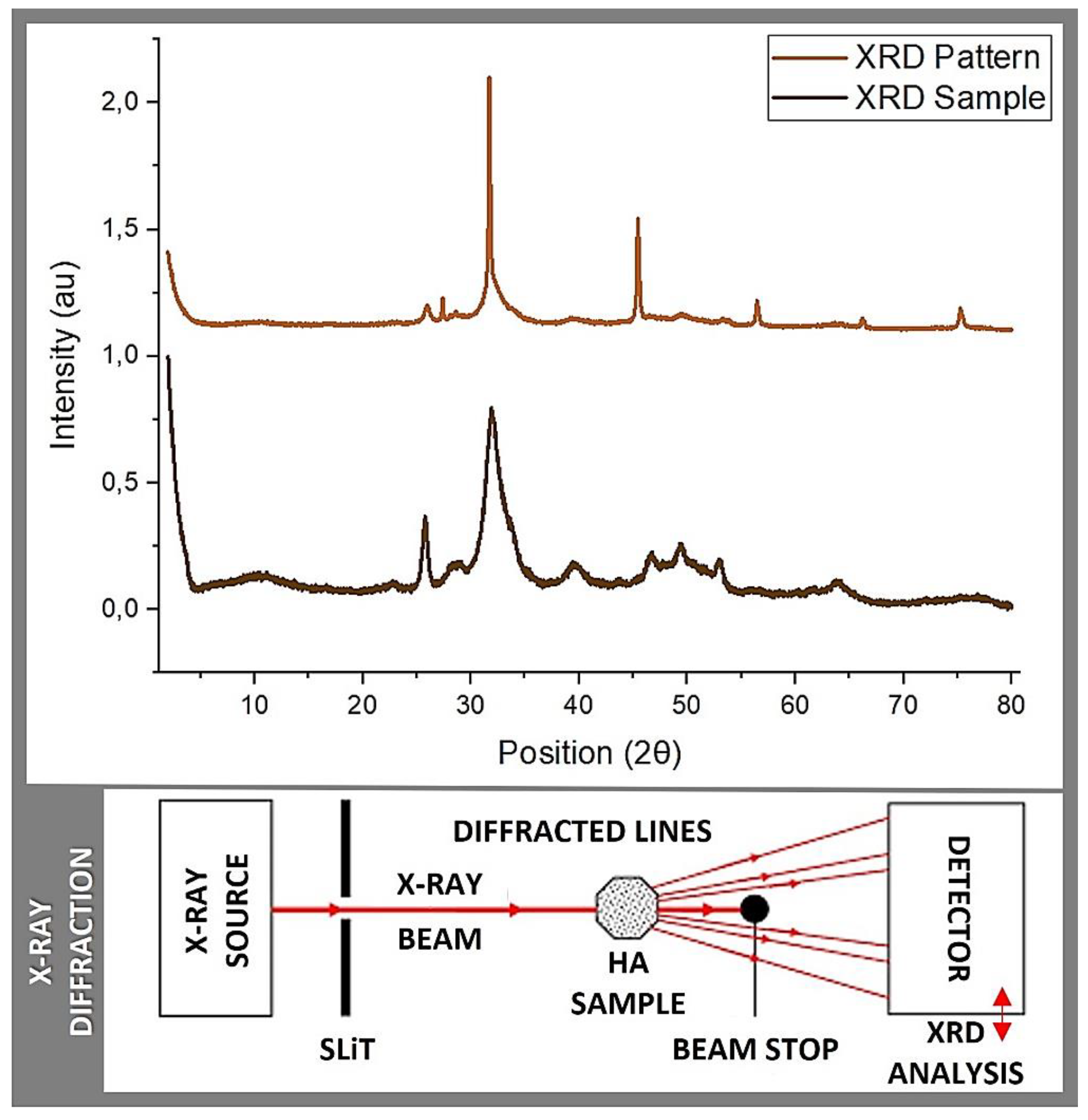 Preprints 90670 g004