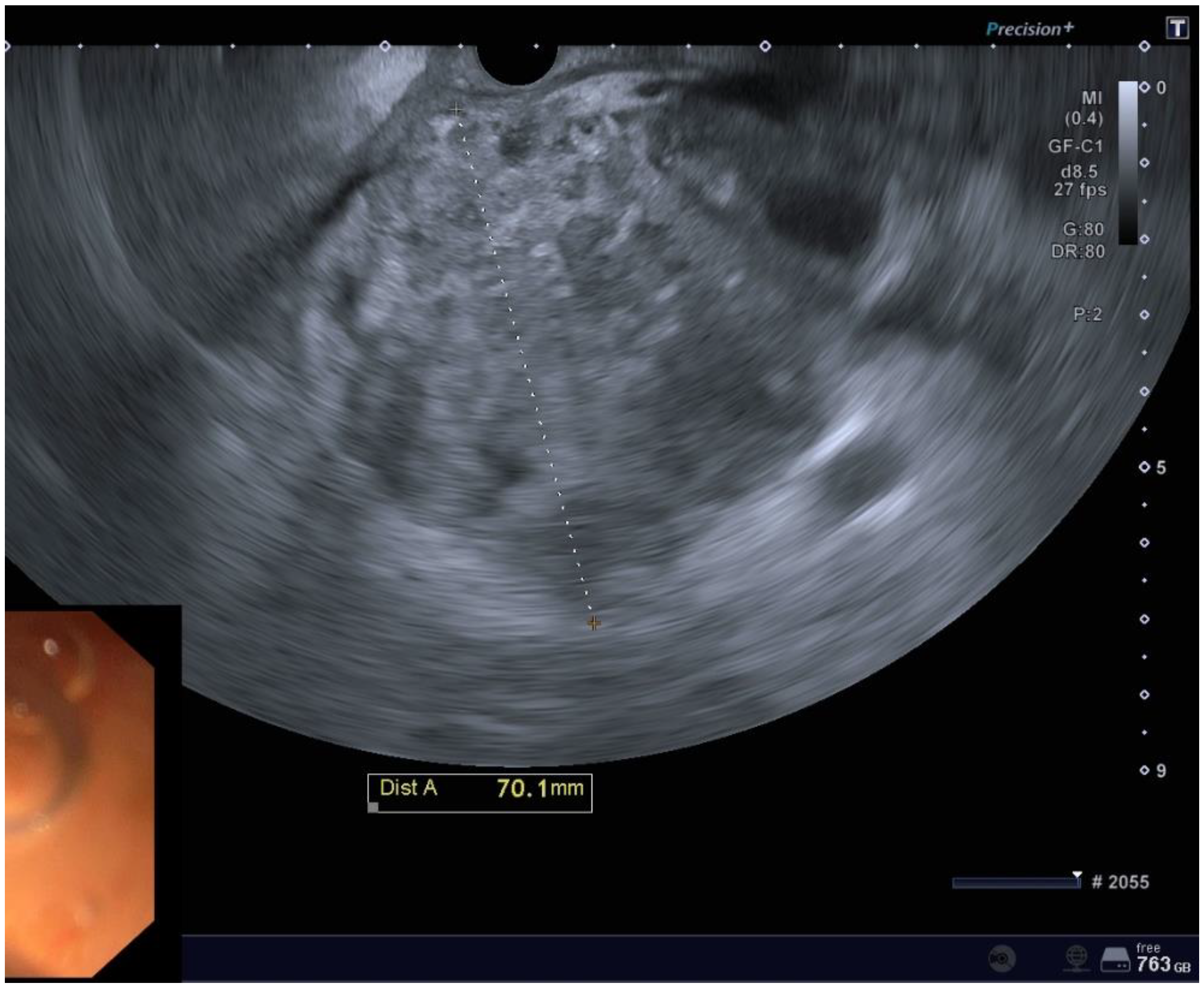 Preprints 154291 g001