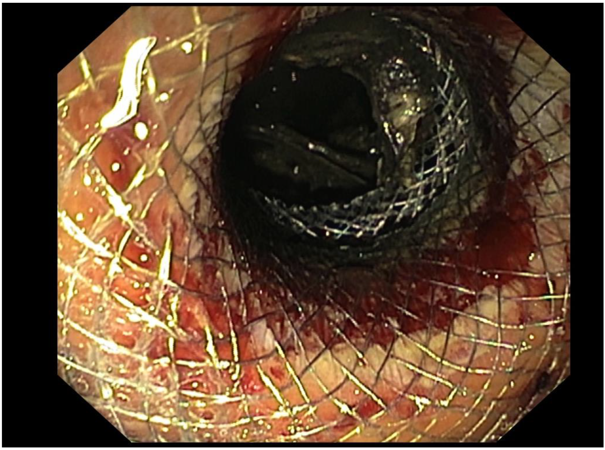 Preprints 154291 g002