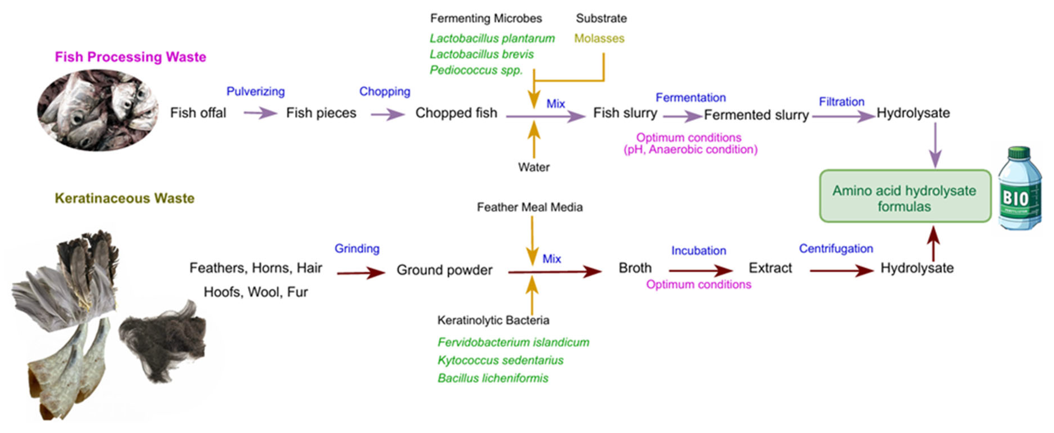 Preprints 110075 g004