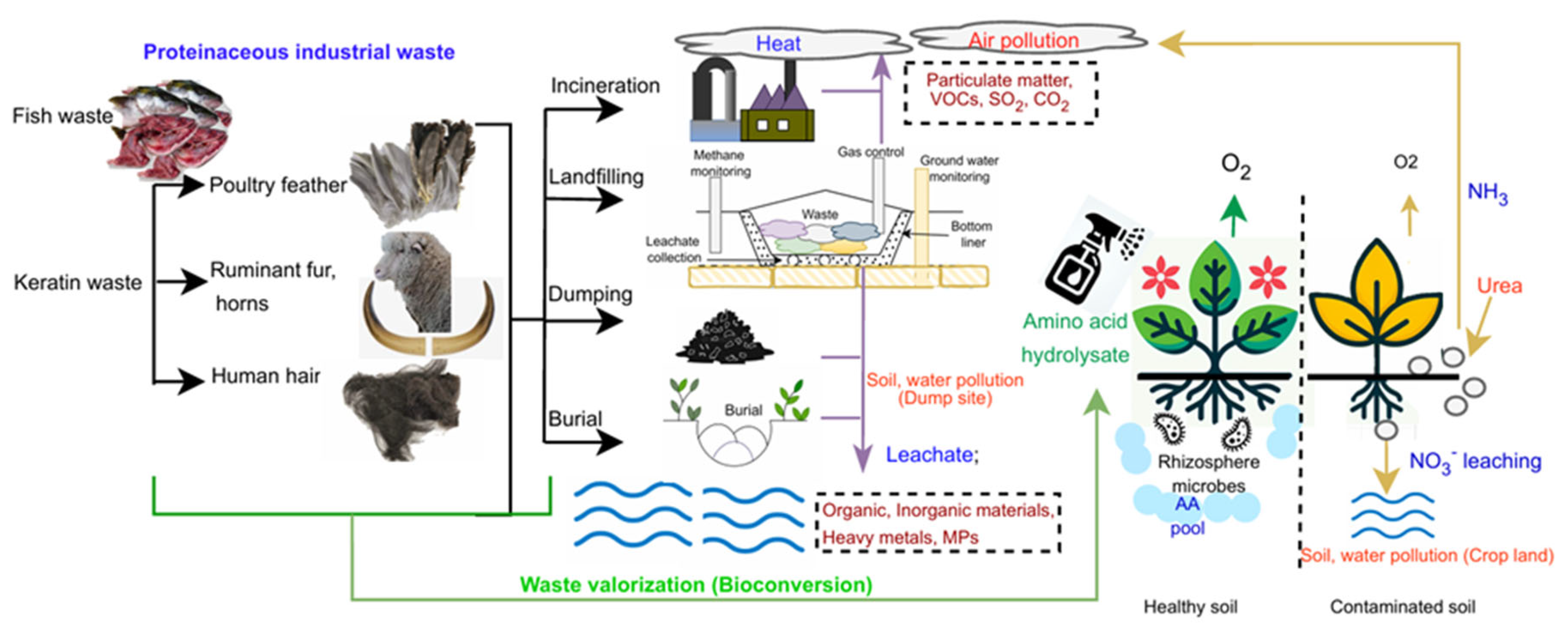 Preprints 110075 i001