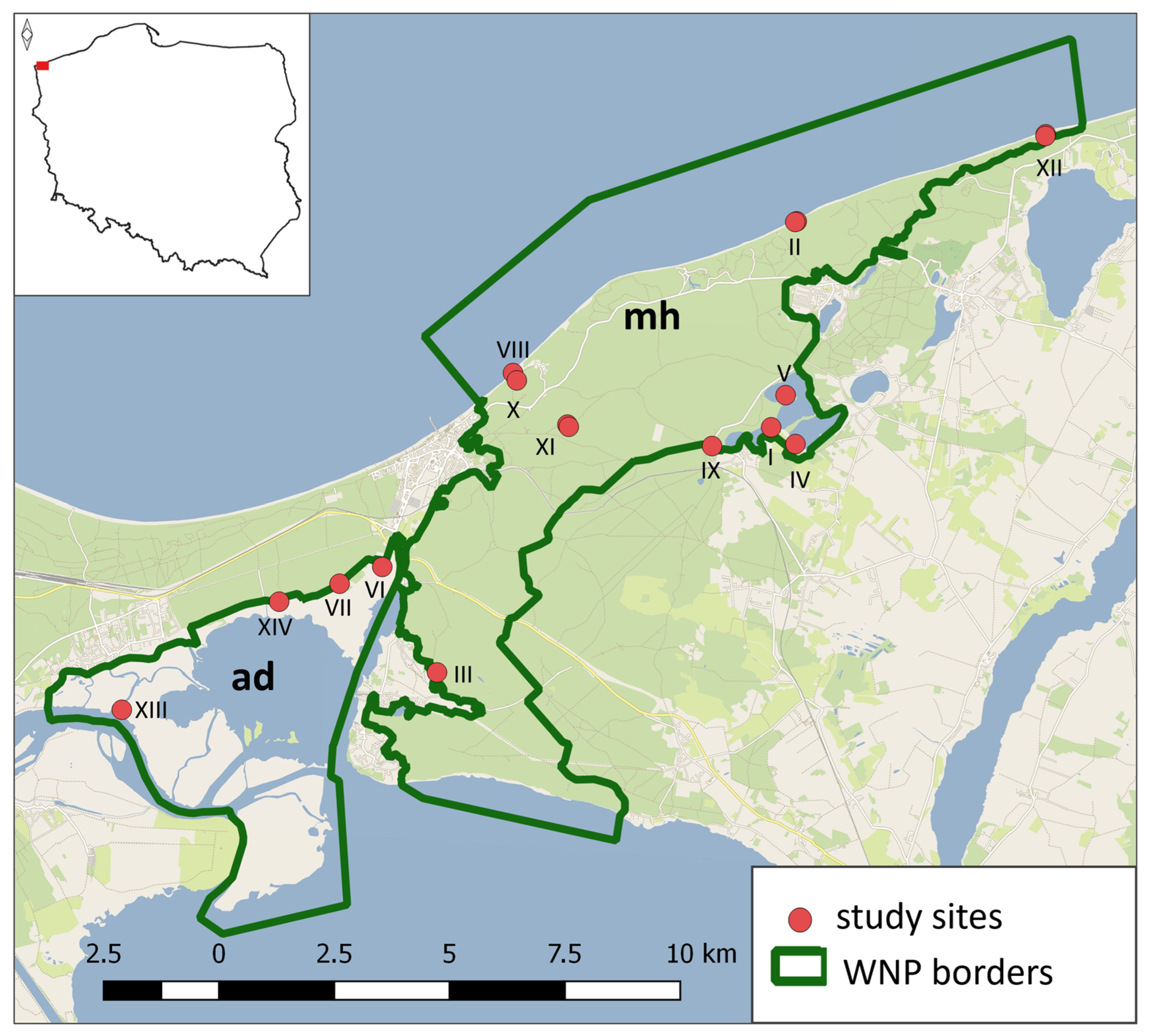 Preprints 148929 g001