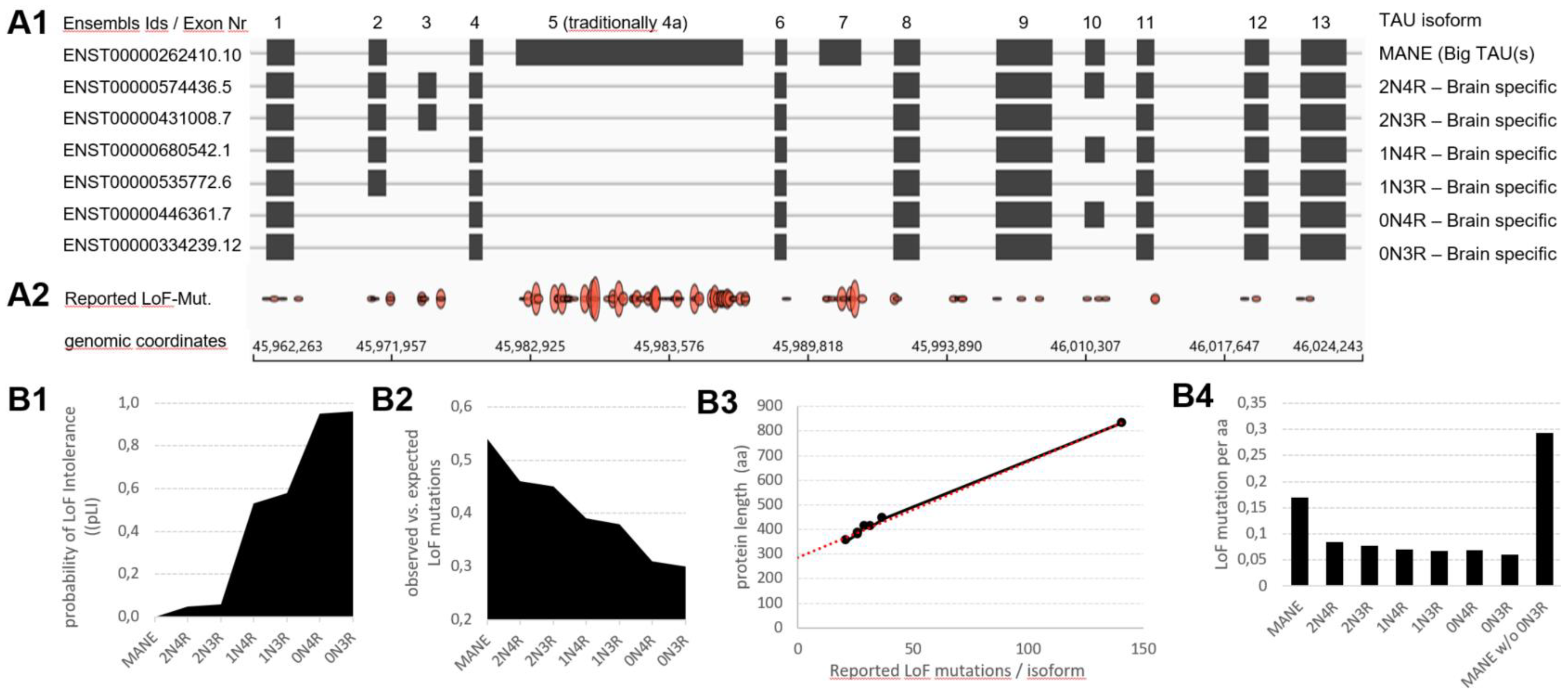 Preprints 92315 g001