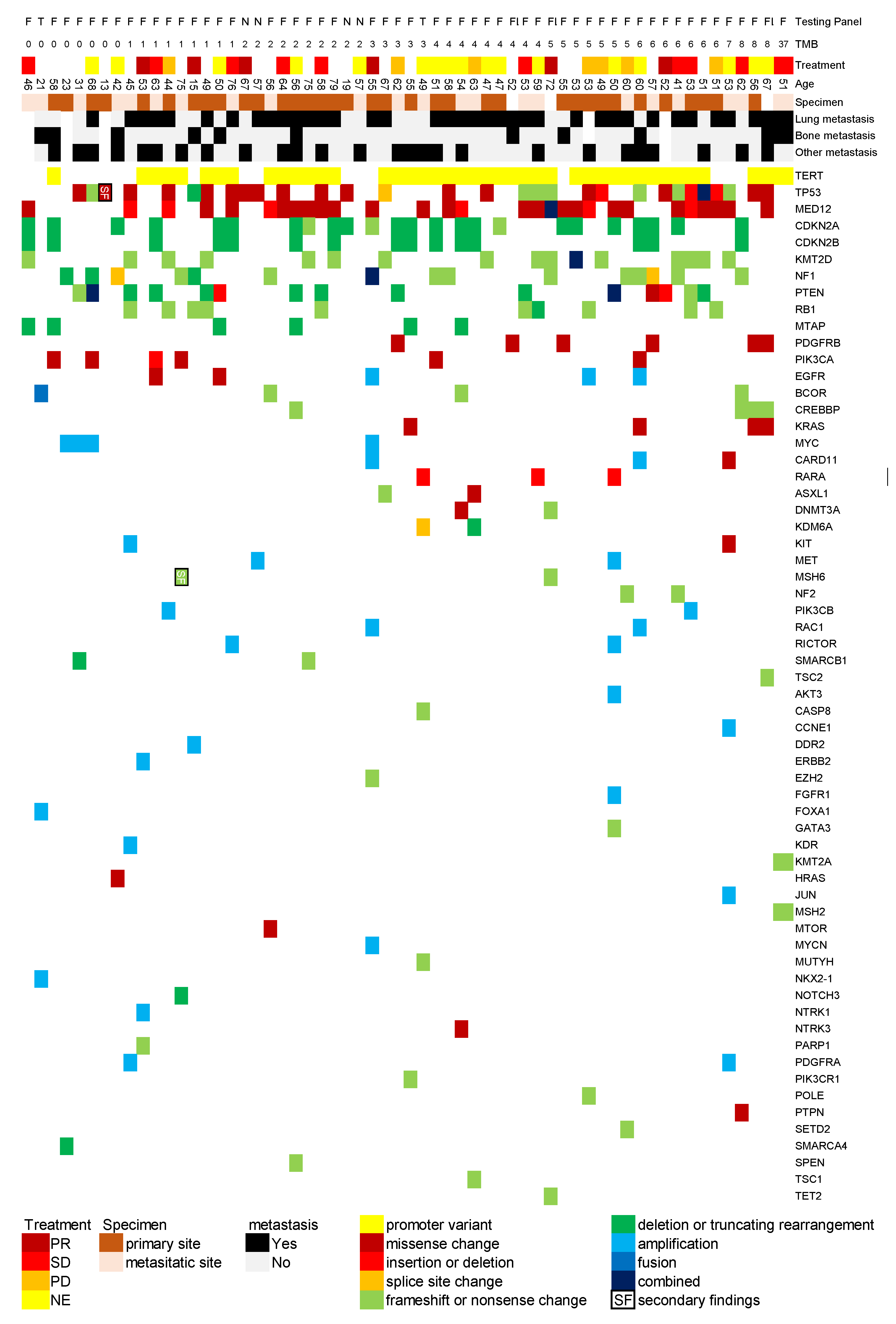 Preprints 138314 g001