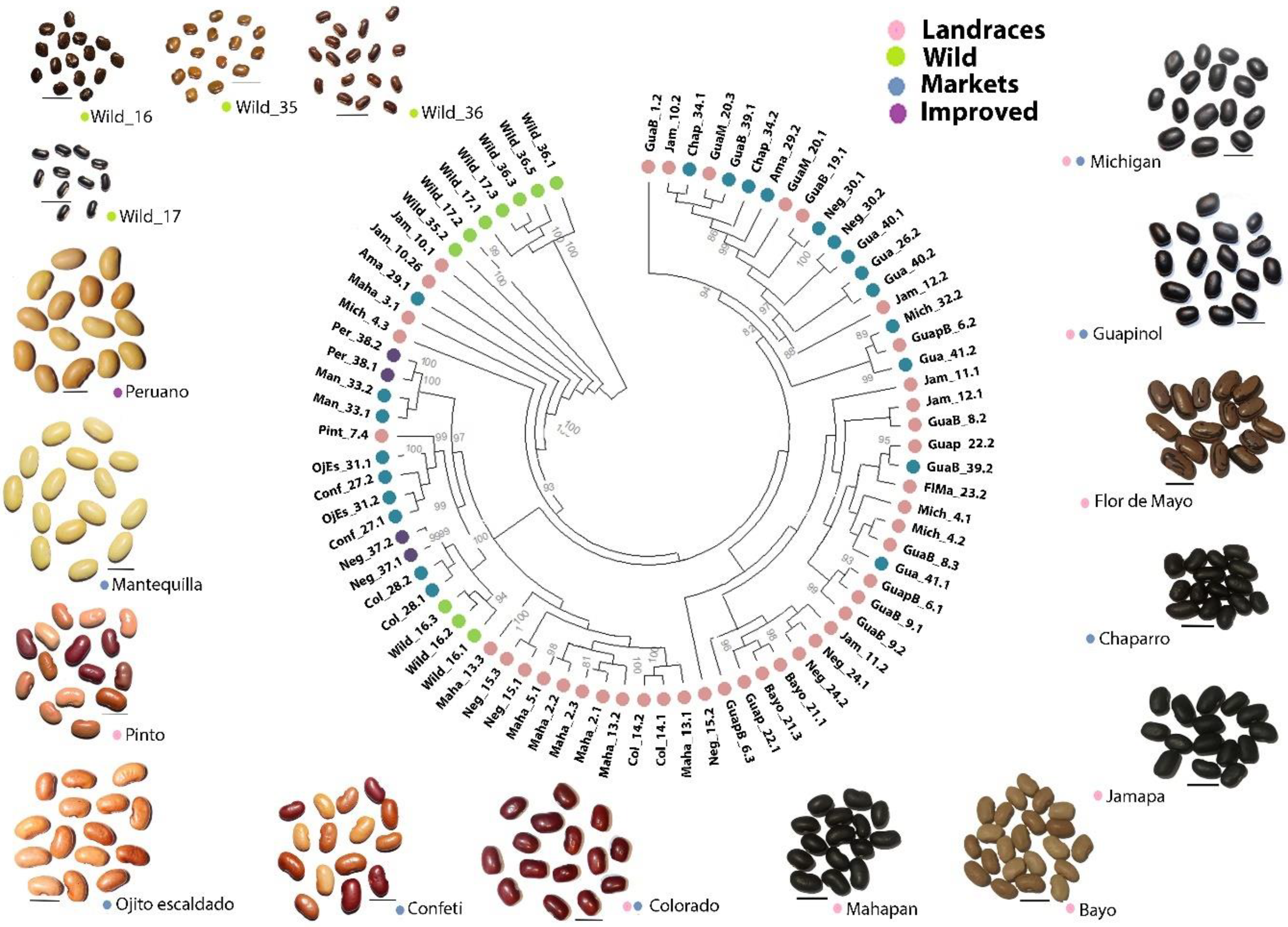 Preprints 228083 g002