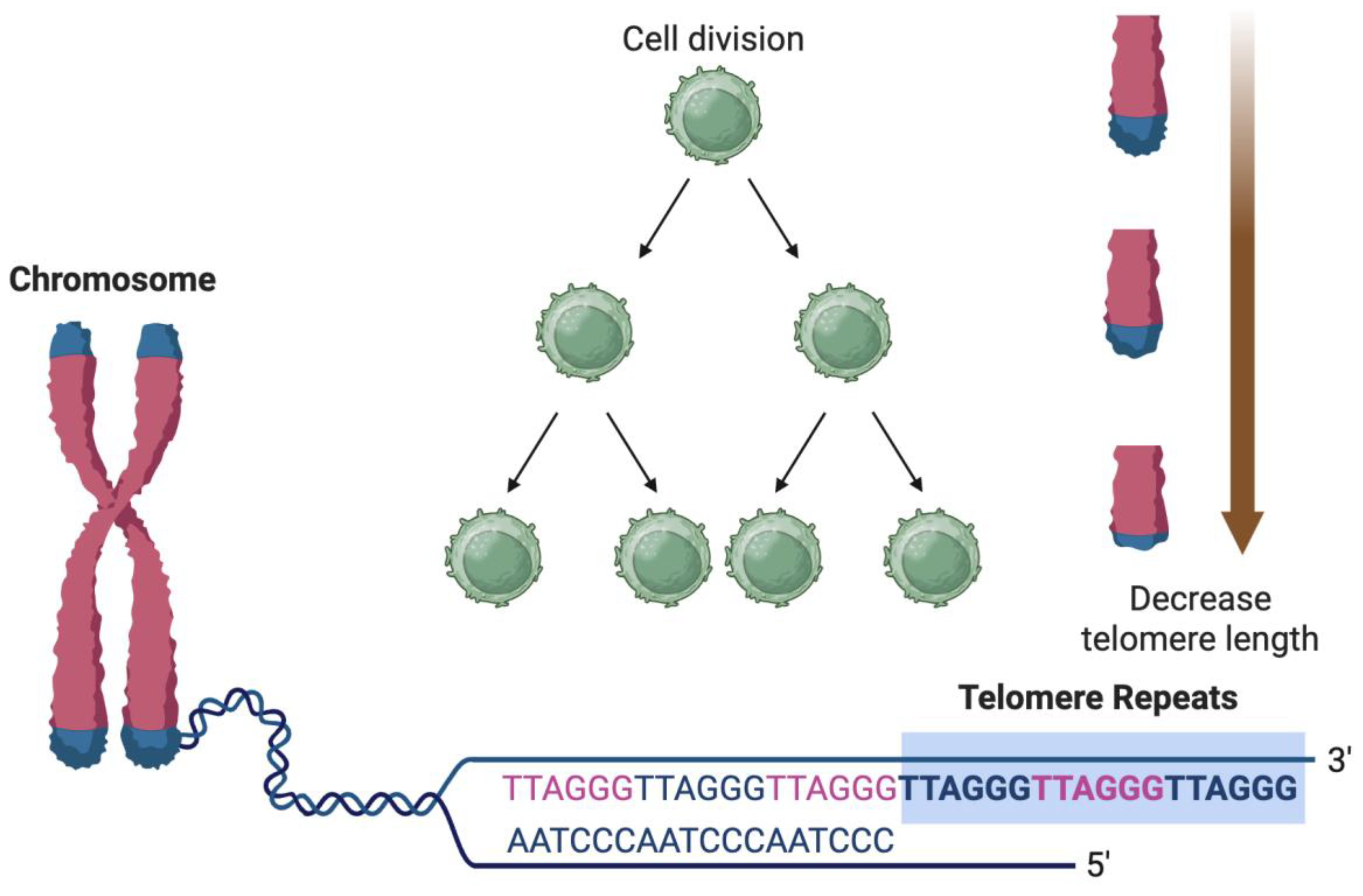 Preprints 173249 g002