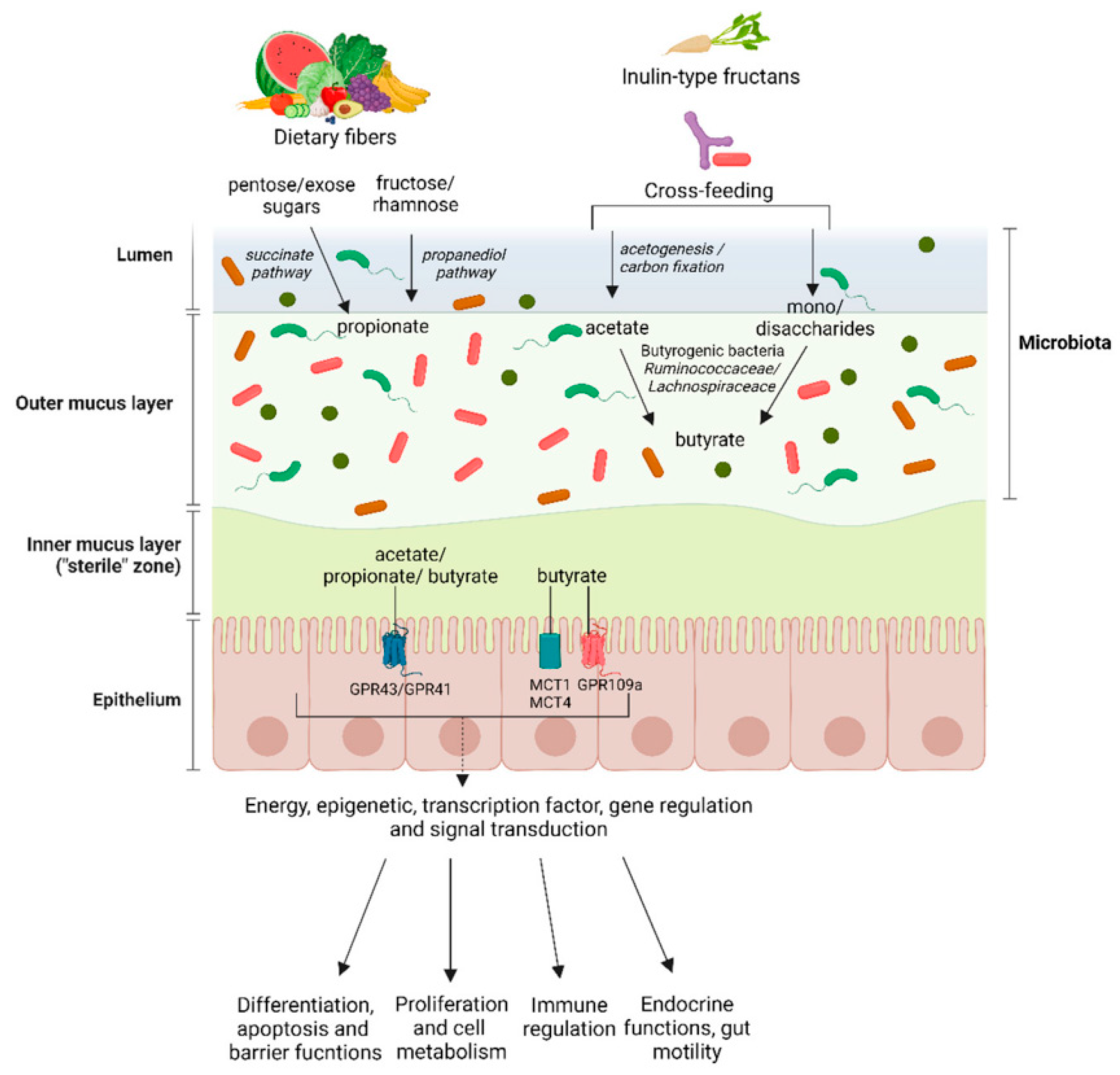 Preprints 183165 g001