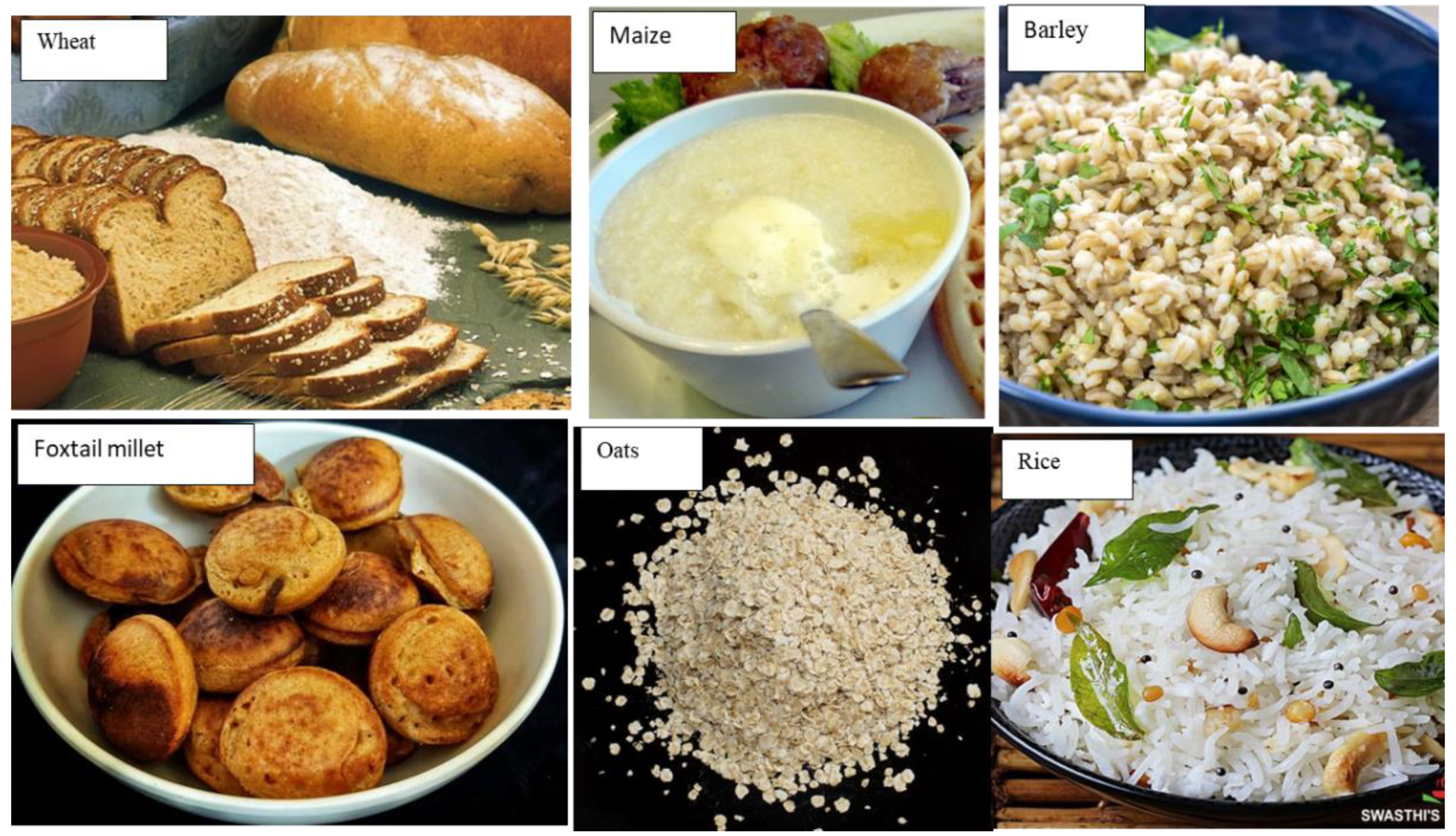 Preprints 138399 g001