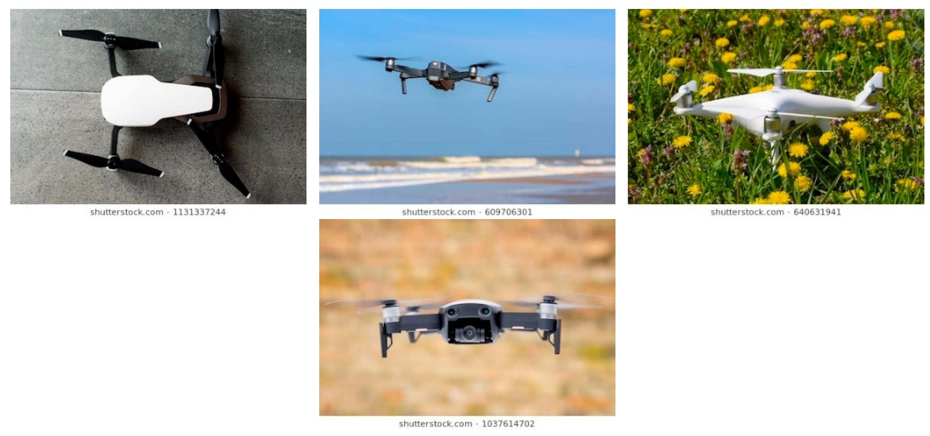 Preprints 173505 g010b