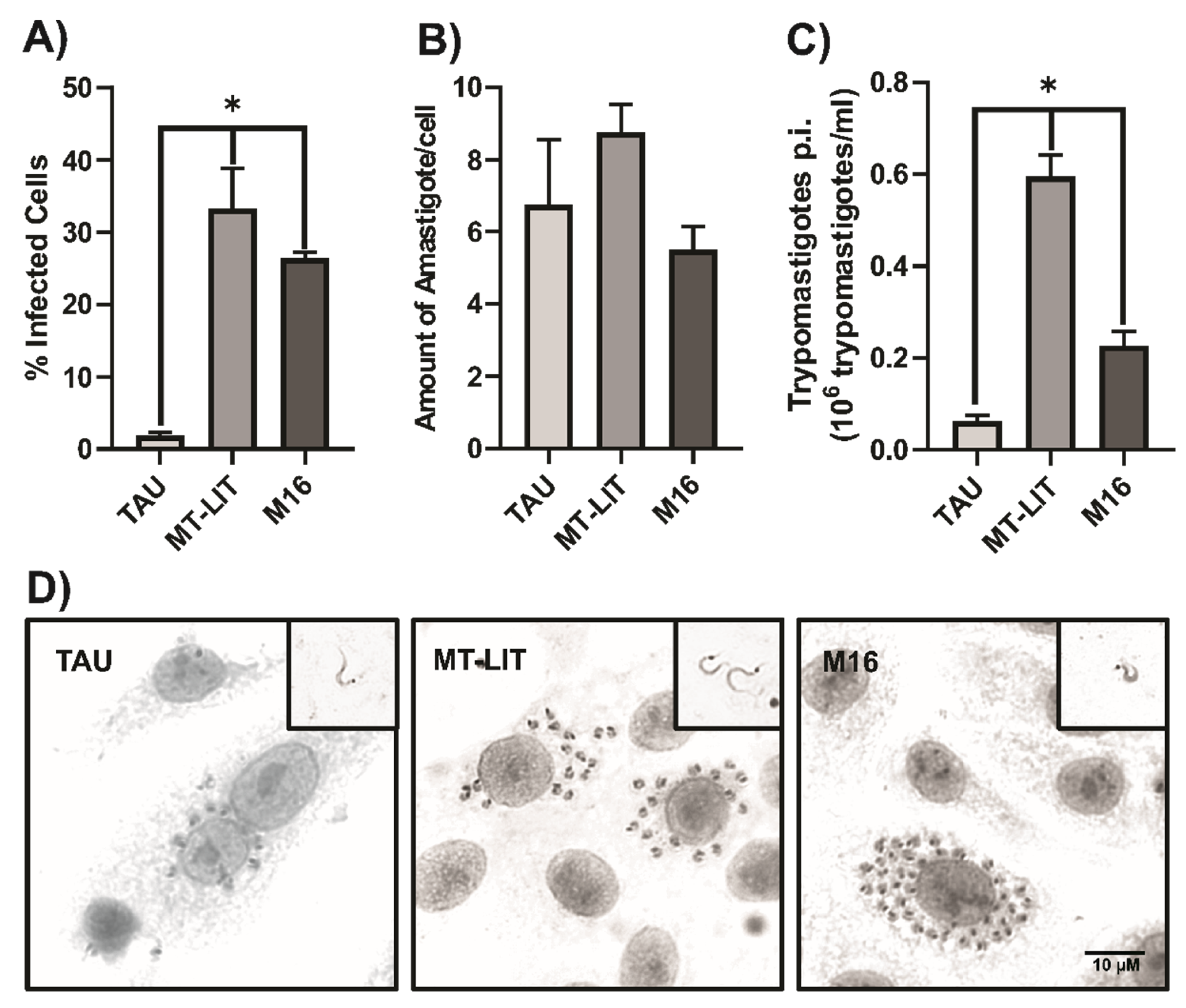 Preprints 154706 g003