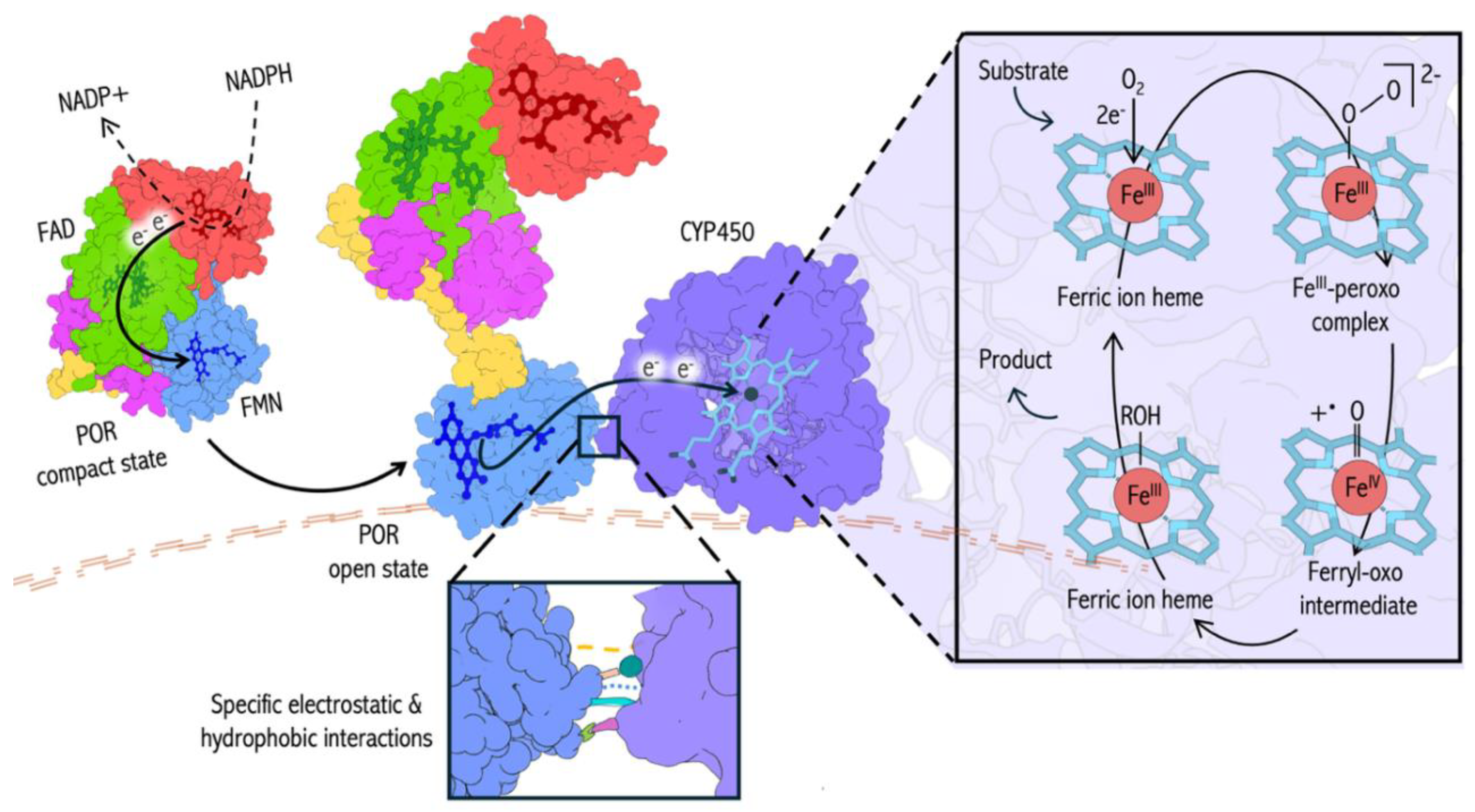 Preprints 207754 g001 Preprints 207754 g001