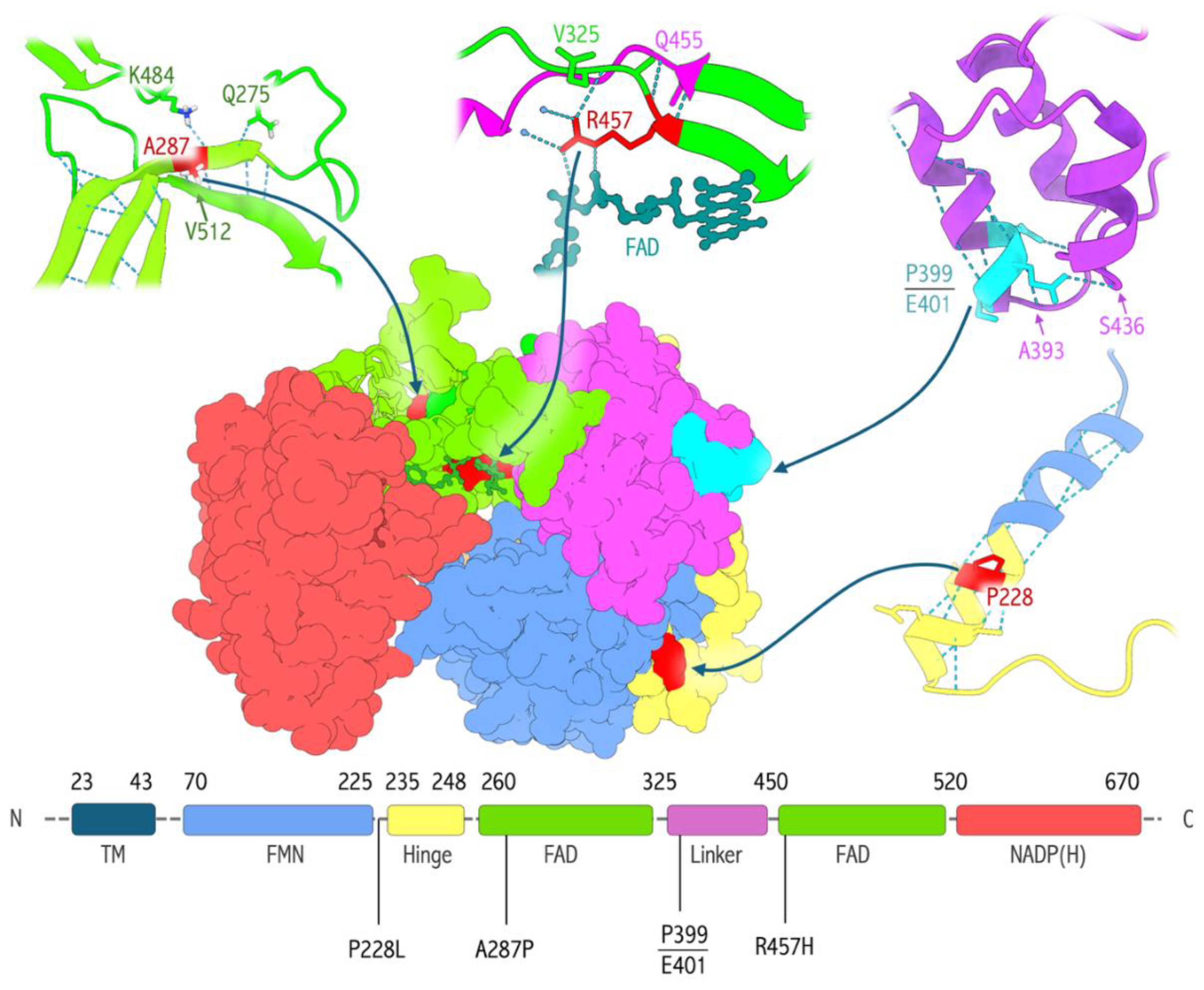 Preprints 207754 g002 Preprints 207754 g002