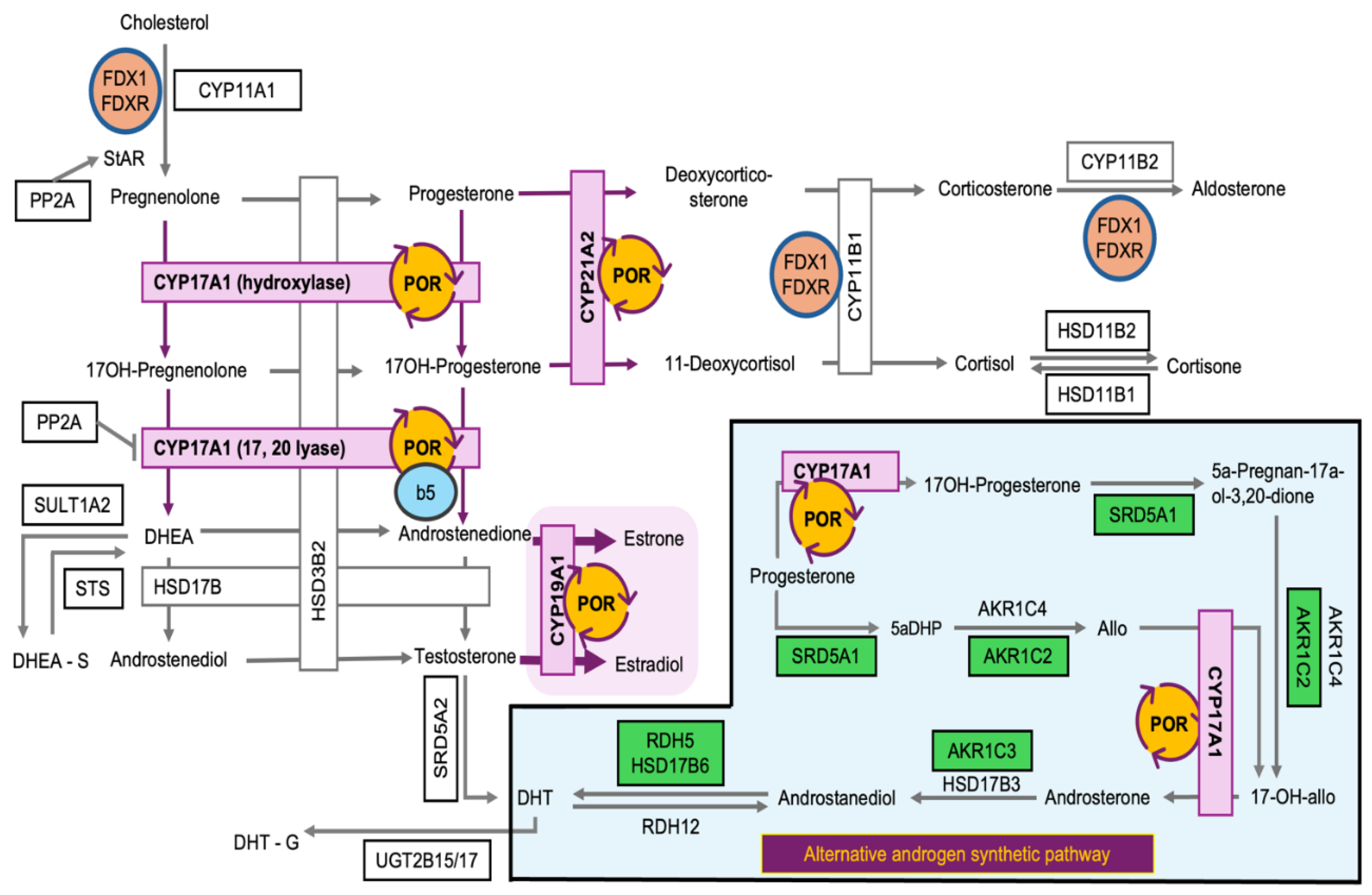 Preprints 207754 g004 Preprints 207754 g004